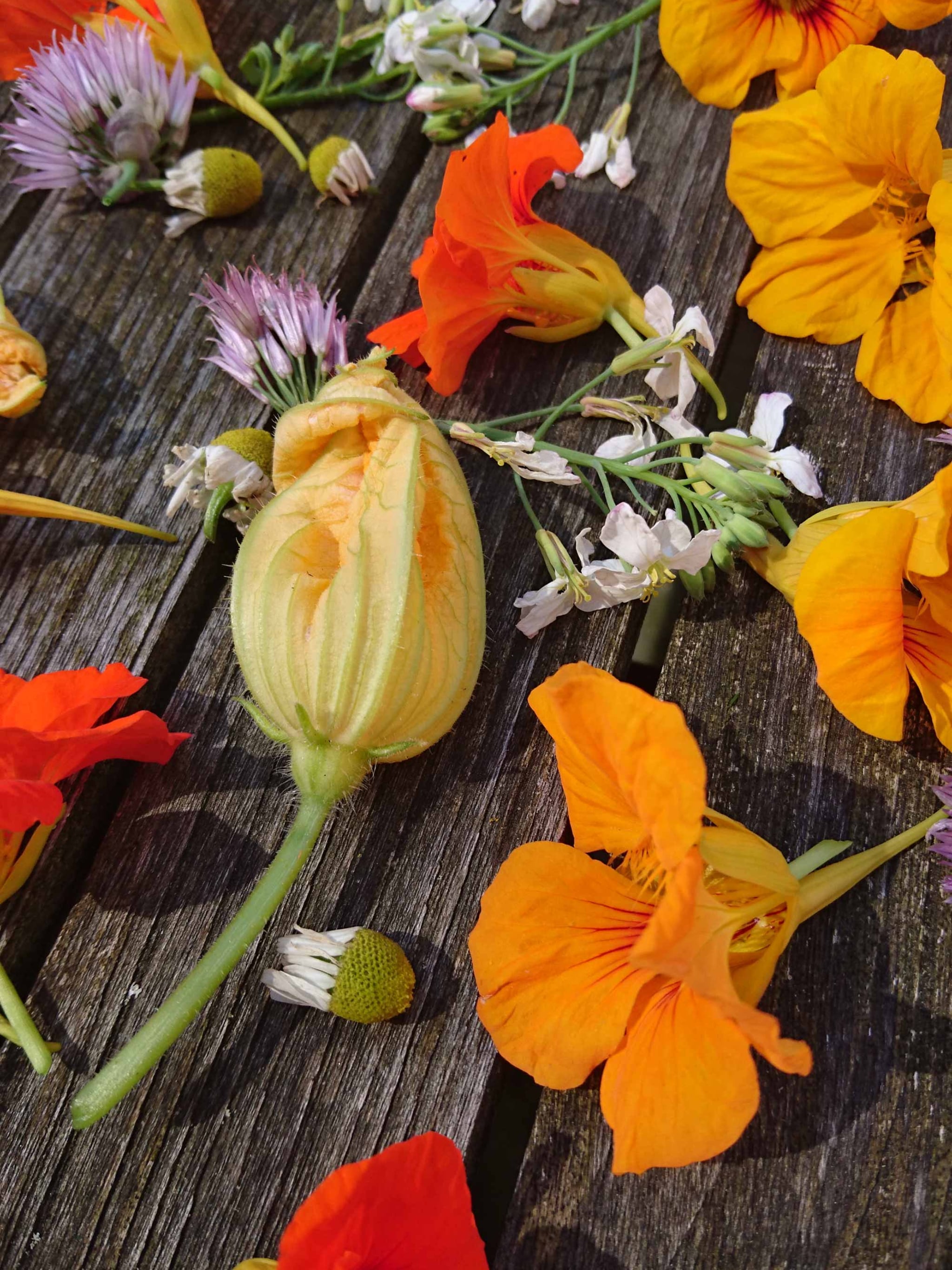 eetbare bloemen in de moestuin zo herken je ze