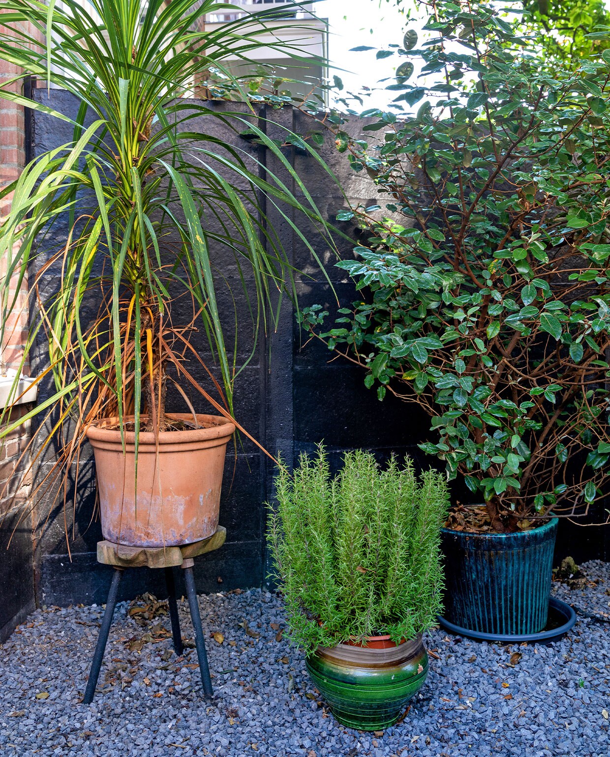 Kruk, terracotta pot en blauwe bloempot tuincentrum. Groene bloempot Serax.