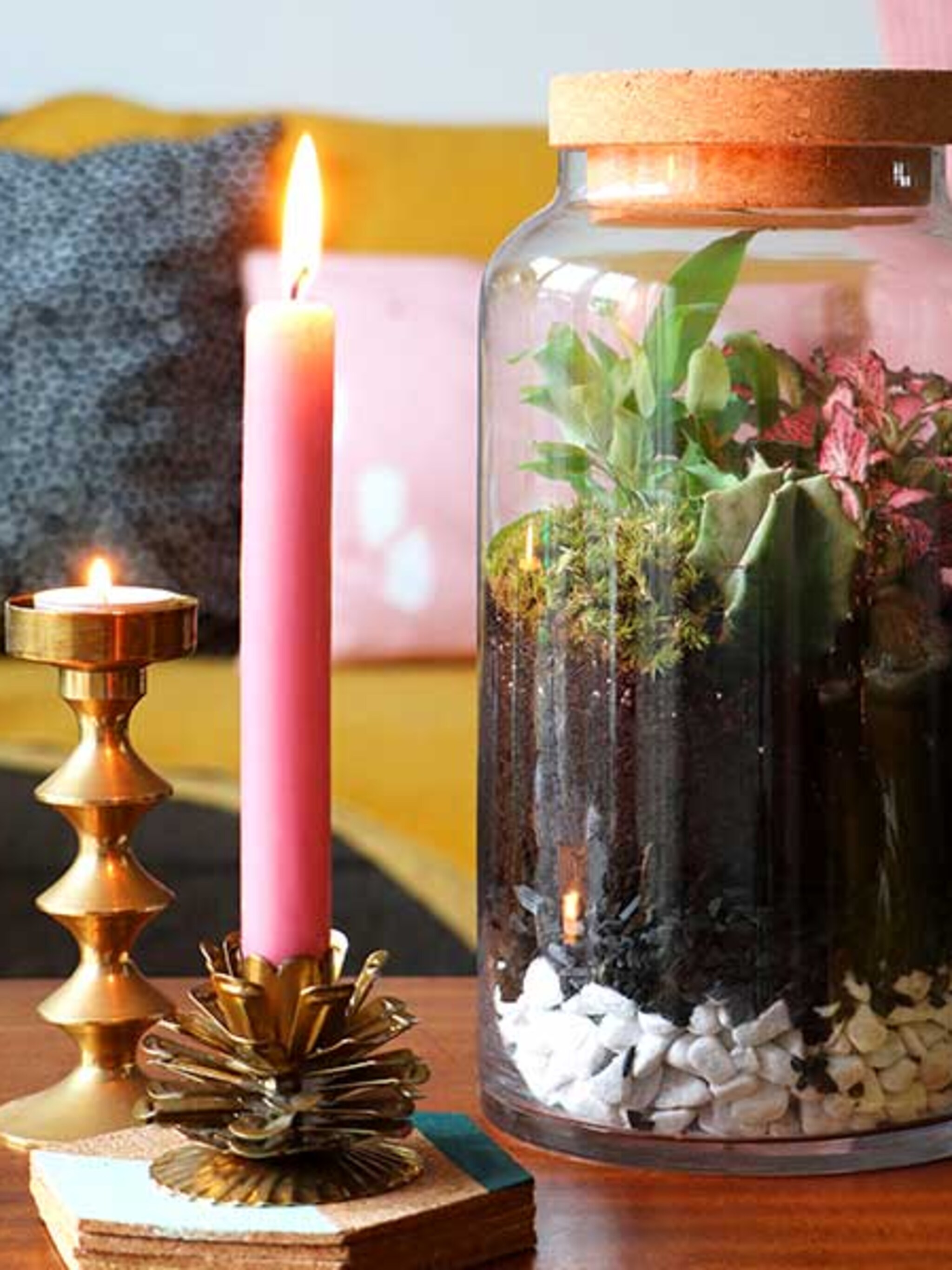 deze planten doen het goed in een terrarium