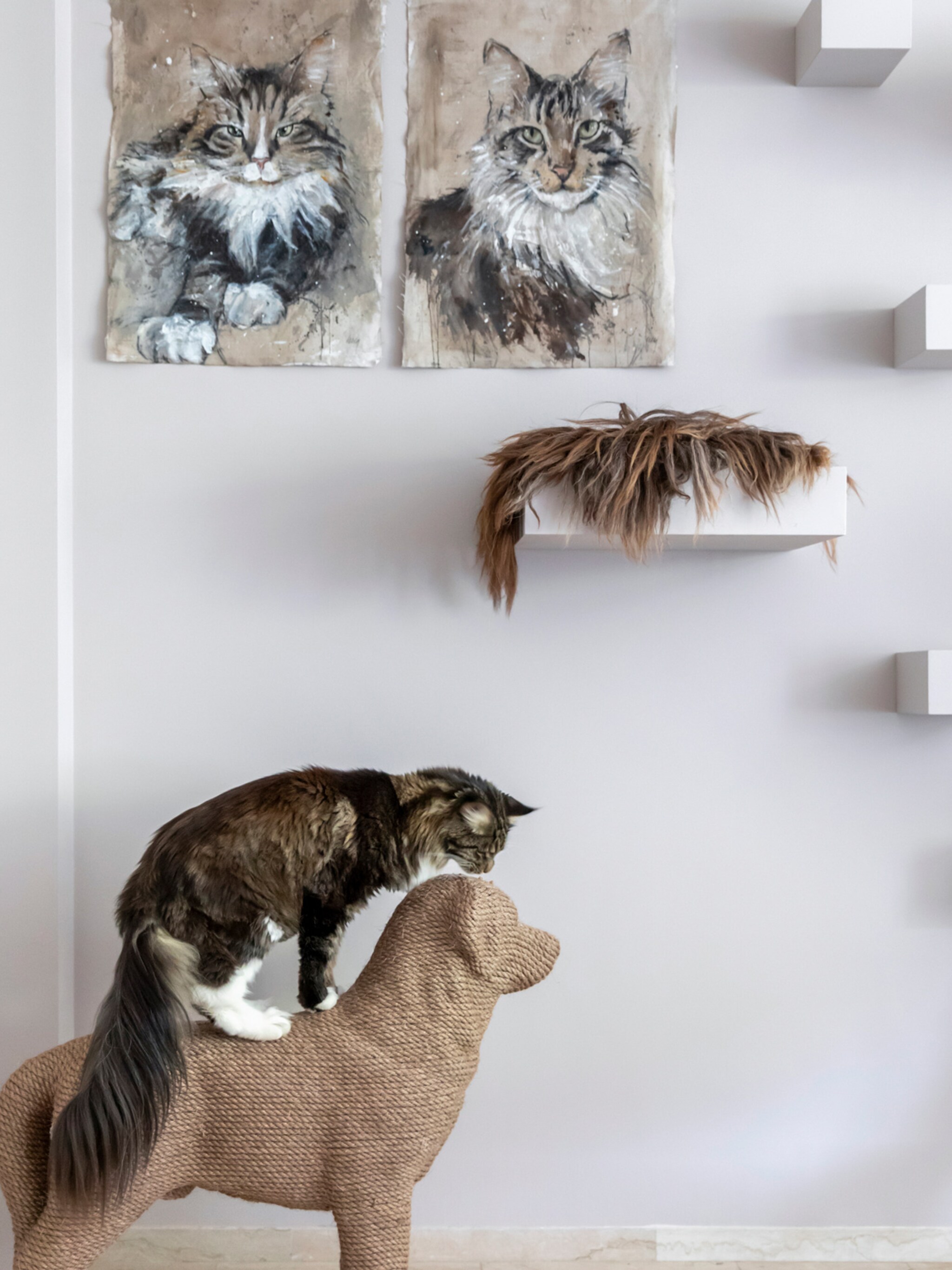 nieuwe interieurtrend maak het huis katvriendelijk op een stijlvolle manier
