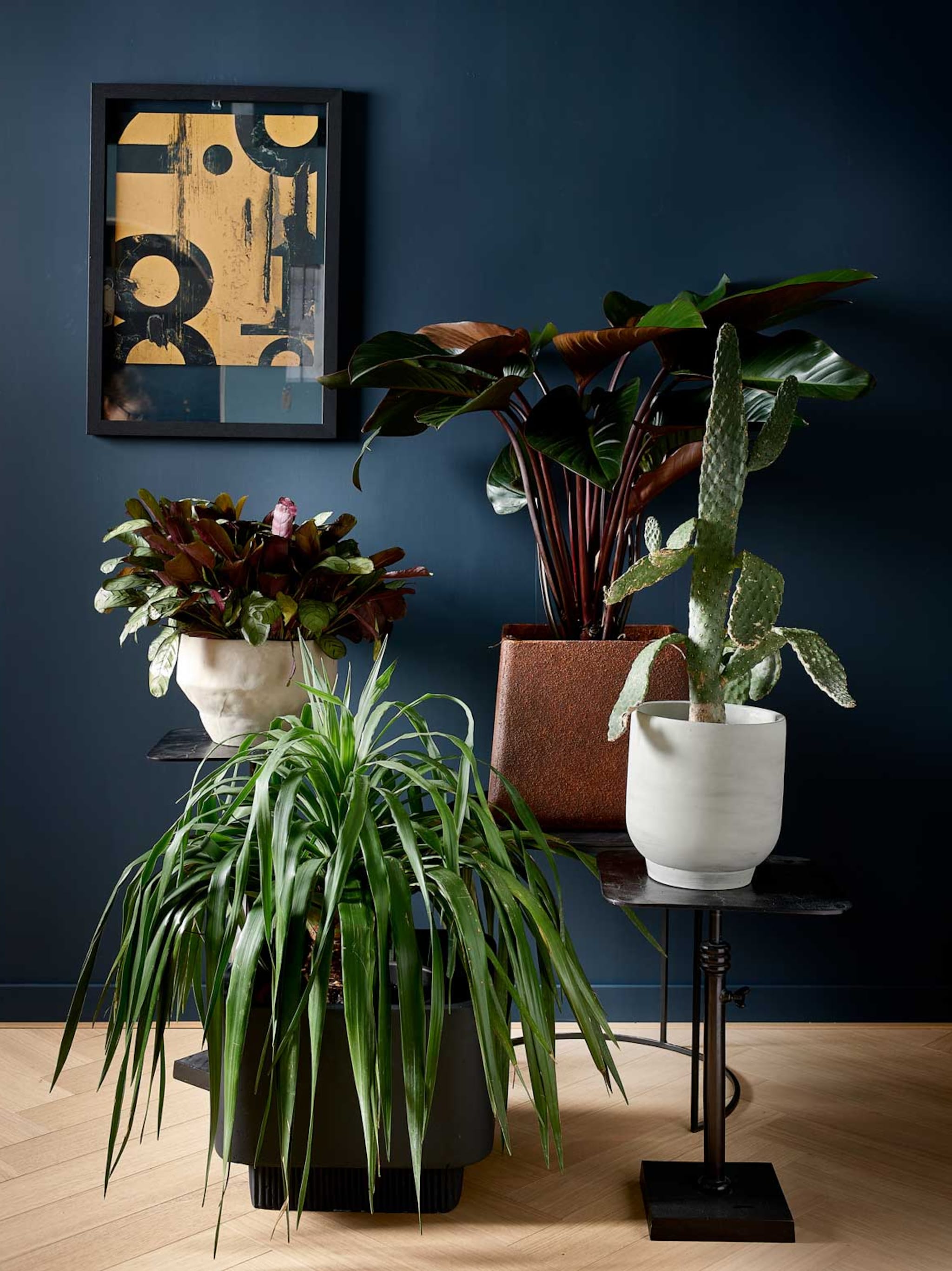 mozaiekvirus bij planten zo herken je het en dit kun je doen