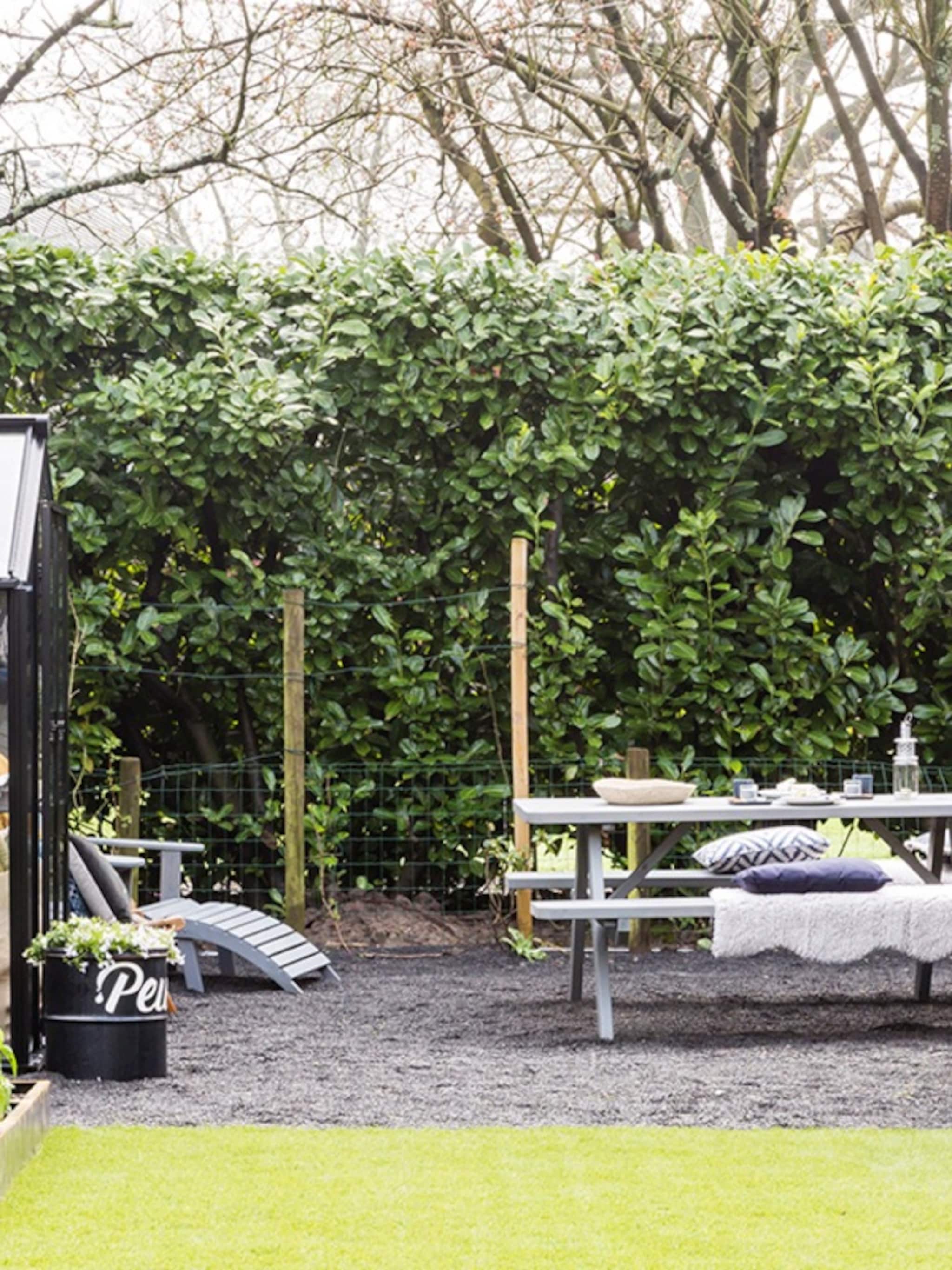 dit kun je doen als je last hebt van veel wind in de tuin