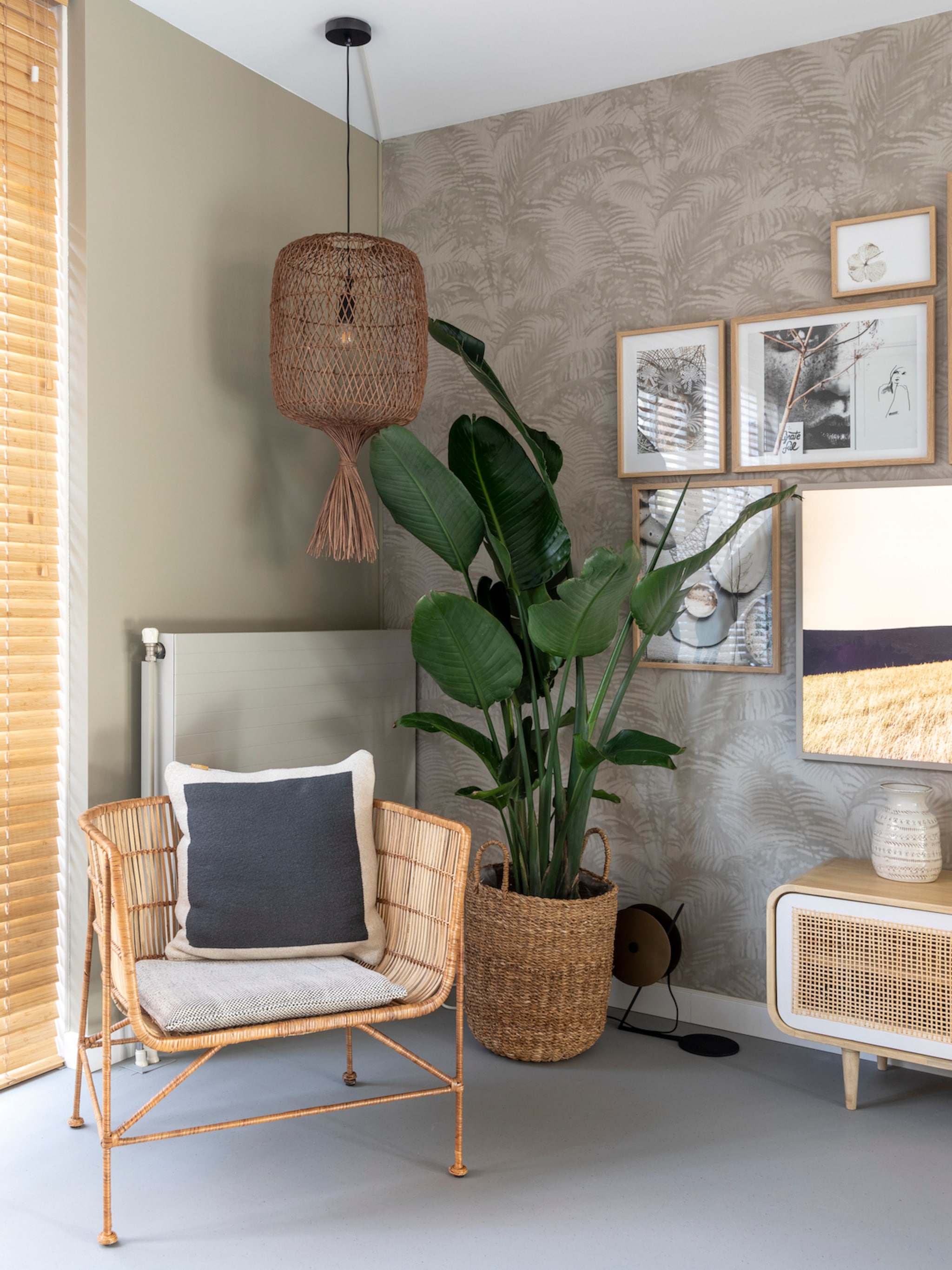 groene make over een lelijke kamerplant weer mooi maken