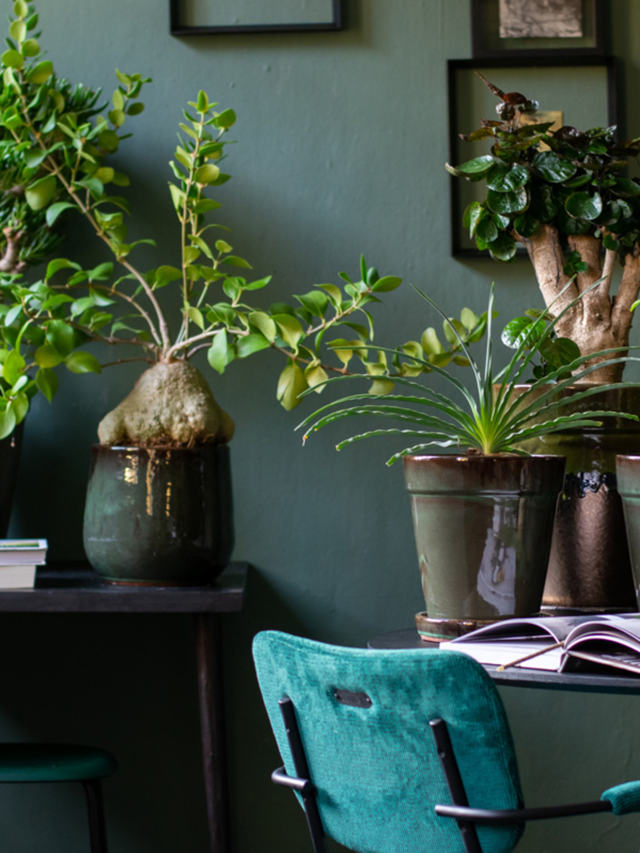 stylingtips van marianne groene orangerie in huis