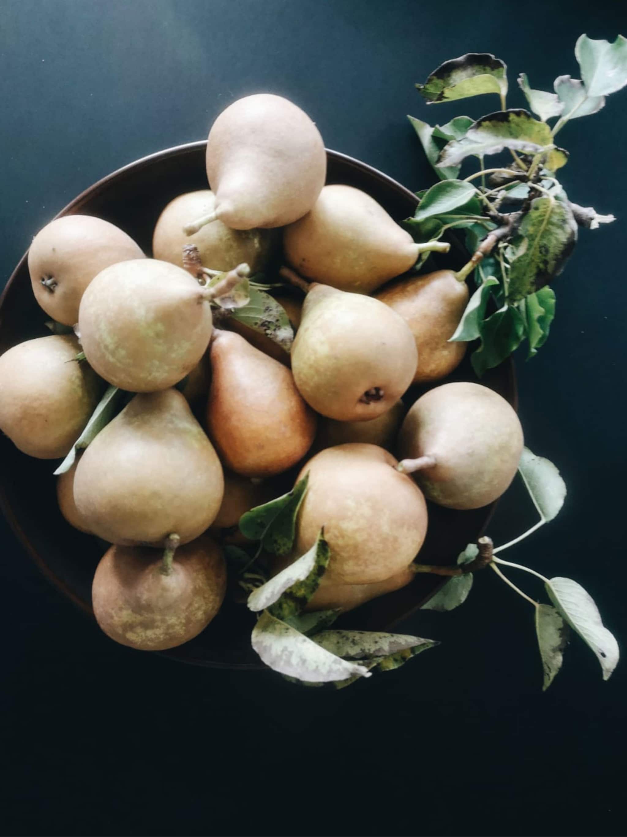 vivian en mark wij plukken fruit net voordat het rijp is