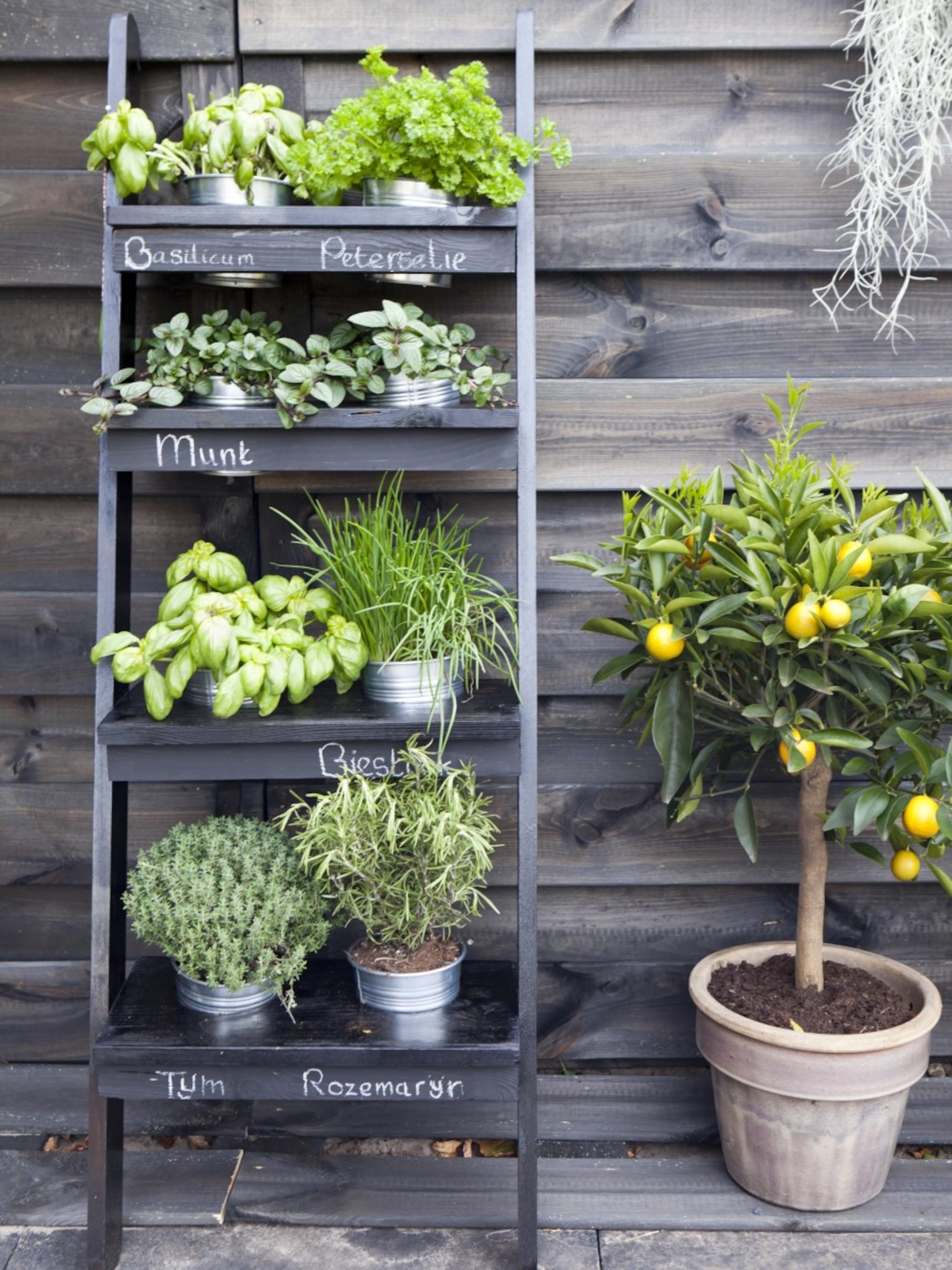 5 manieren om een verticale tuin te maken