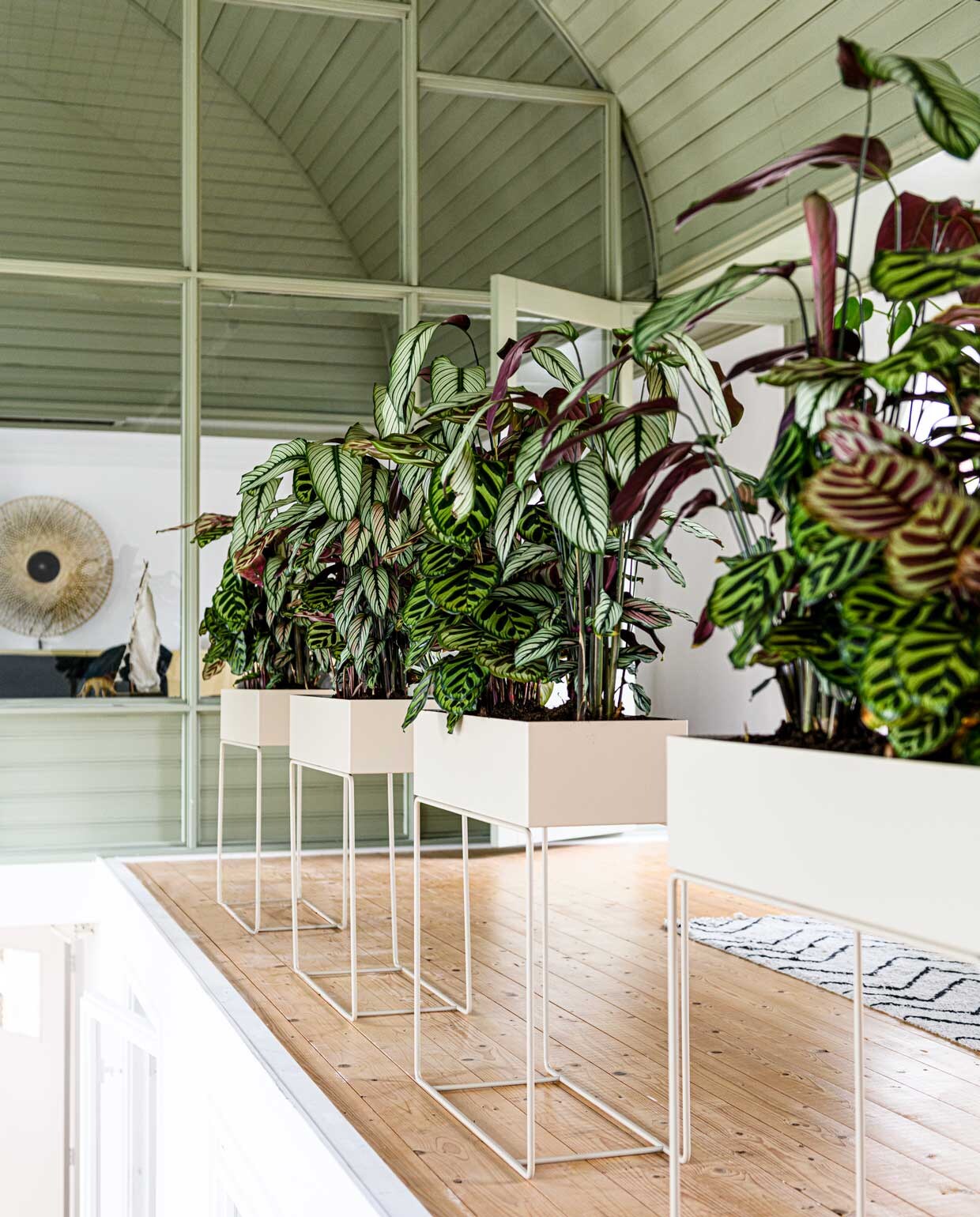 Ferm living plant box plantentafel €199,-, hkliving zigzag runner vloerkleed €64,95,