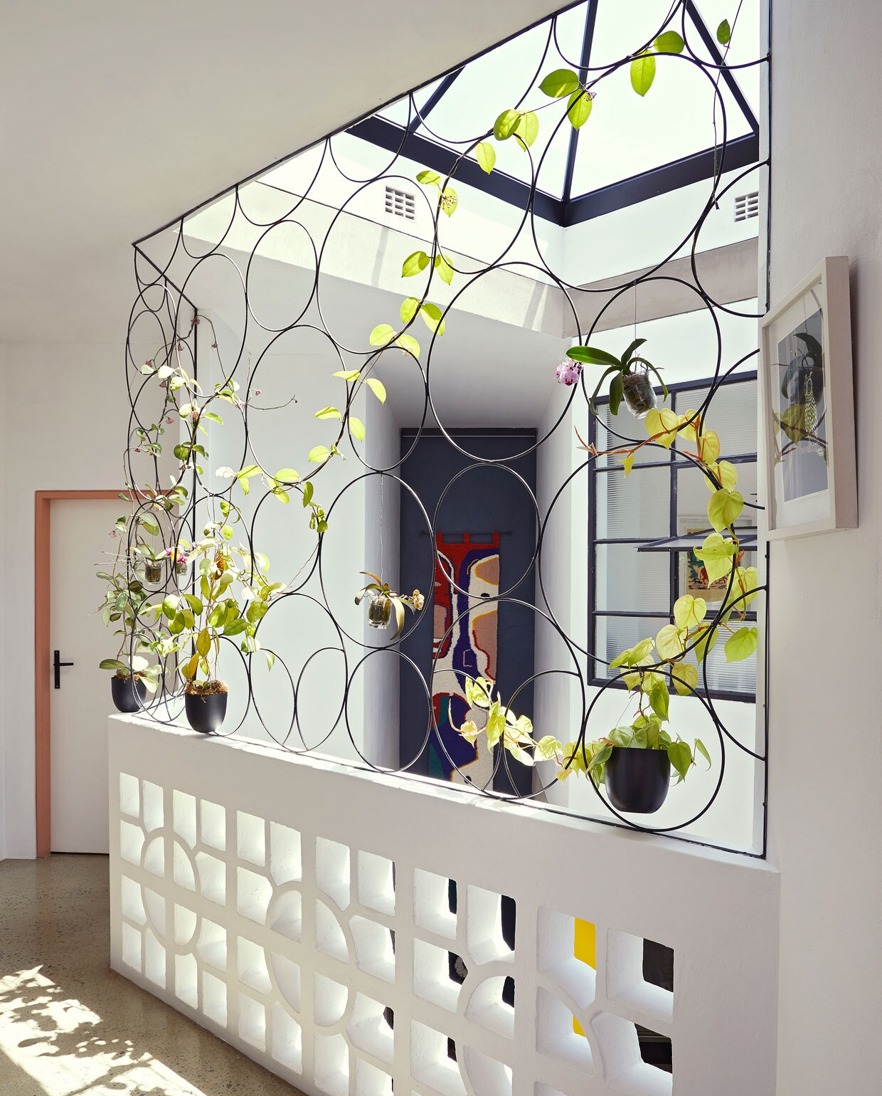 Balustrade eigen ontwerp, gebouwd door Njabulo Steel. Planten Sawasdee Orchid and Bonsai Emporium. Wandkleed Renée Rossouw.