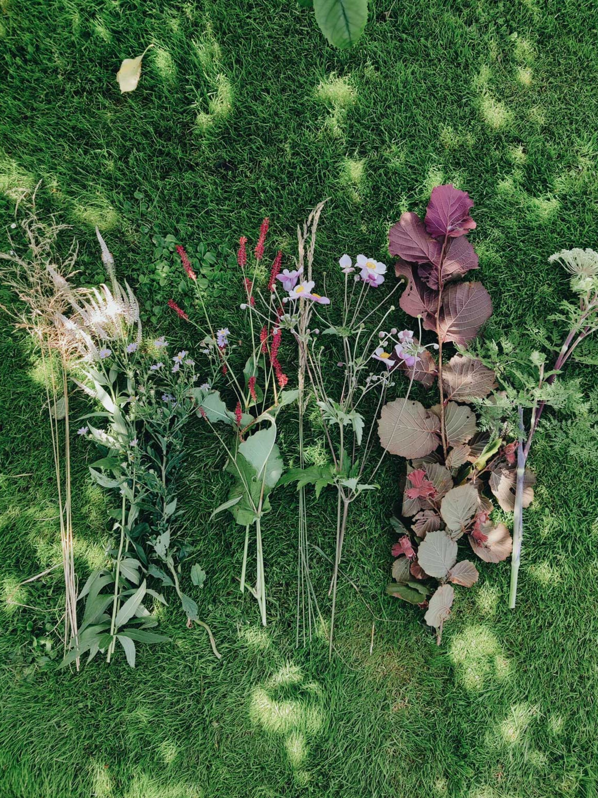 vivian-en-mark-eigenlijk-is-elke-tuin-een-pluktuin