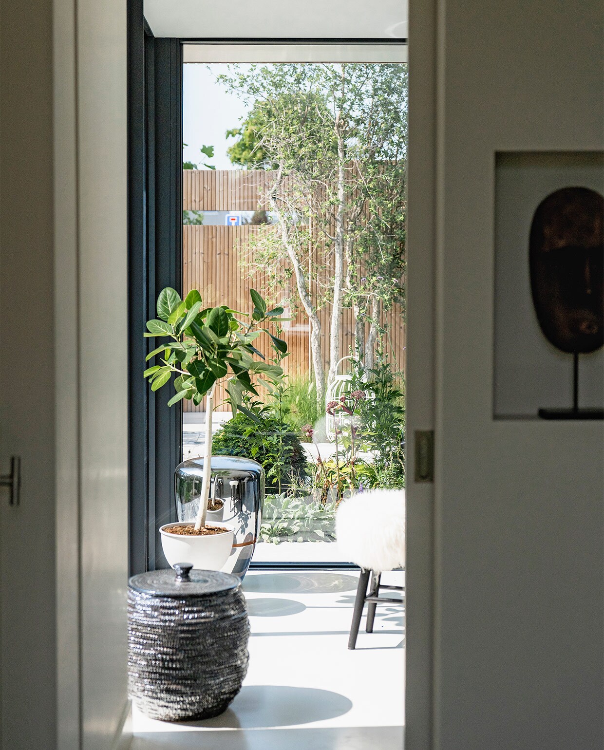 Plant Ficu. Mand Loft. Ornament rechts bovenin en poef Pols Potten.
