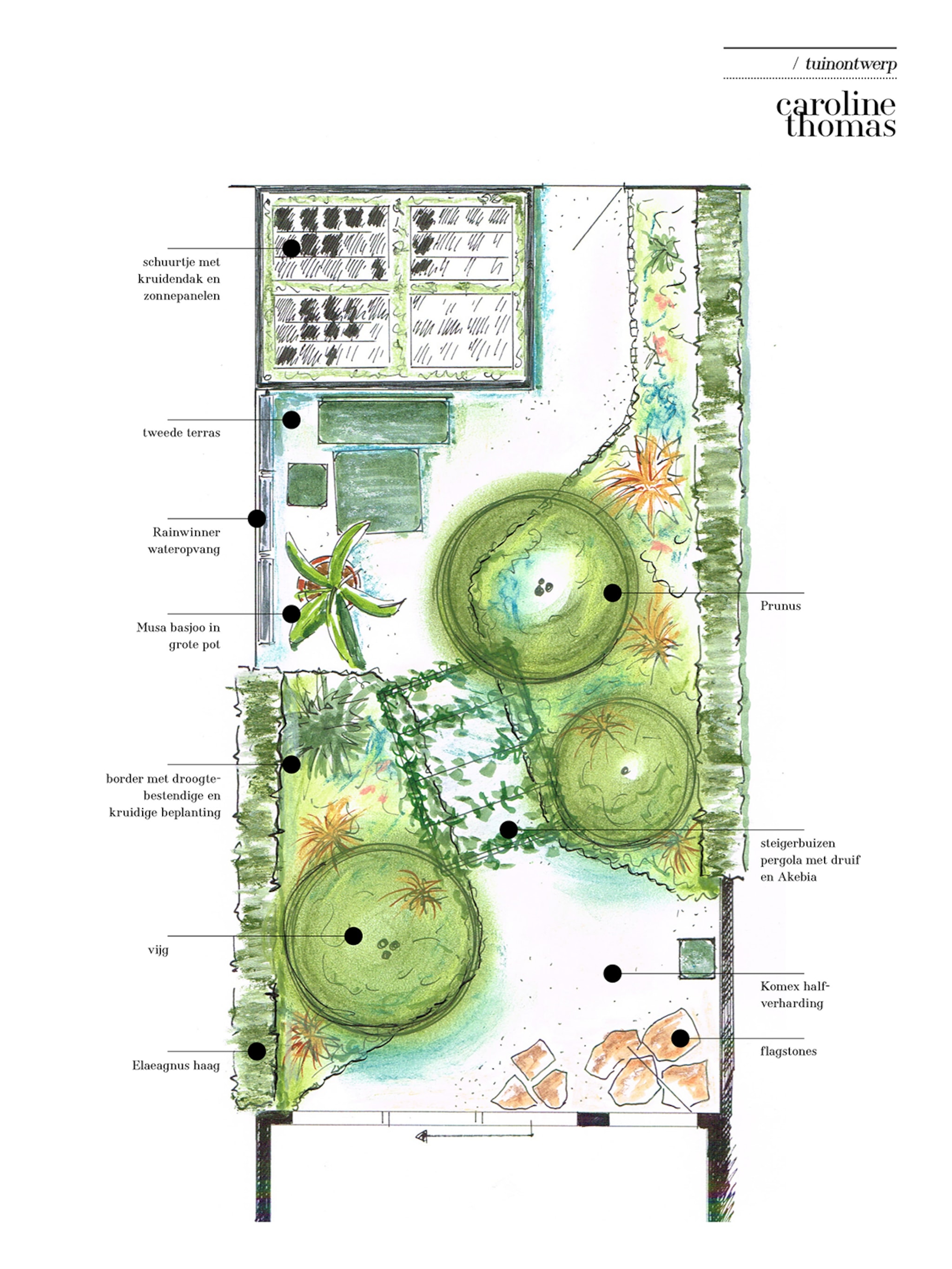 een-tuinontwerp-met-een-zuid-europees-gevoel-op-50-m2