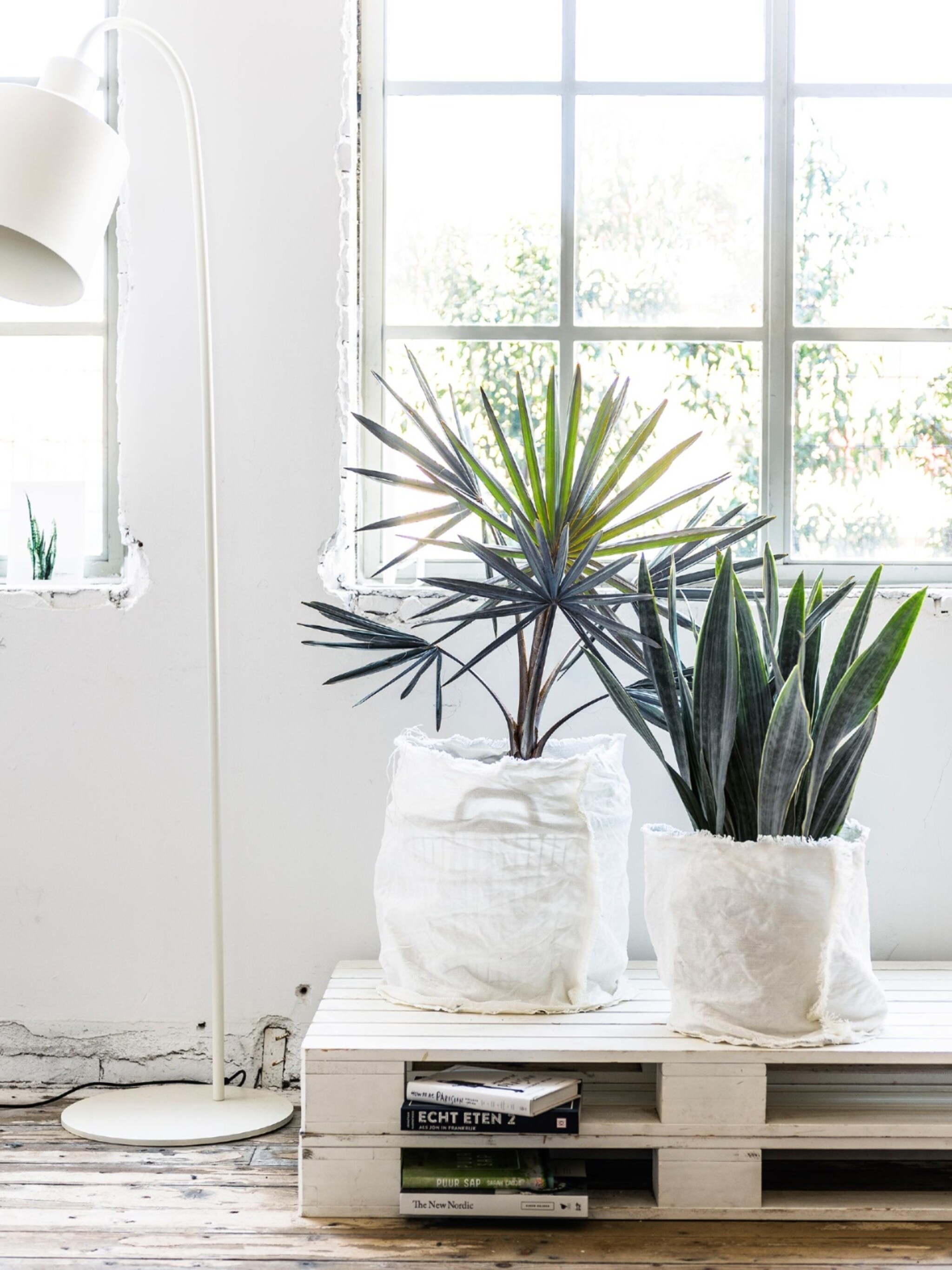 geef je planten een plek in een van deze diy s