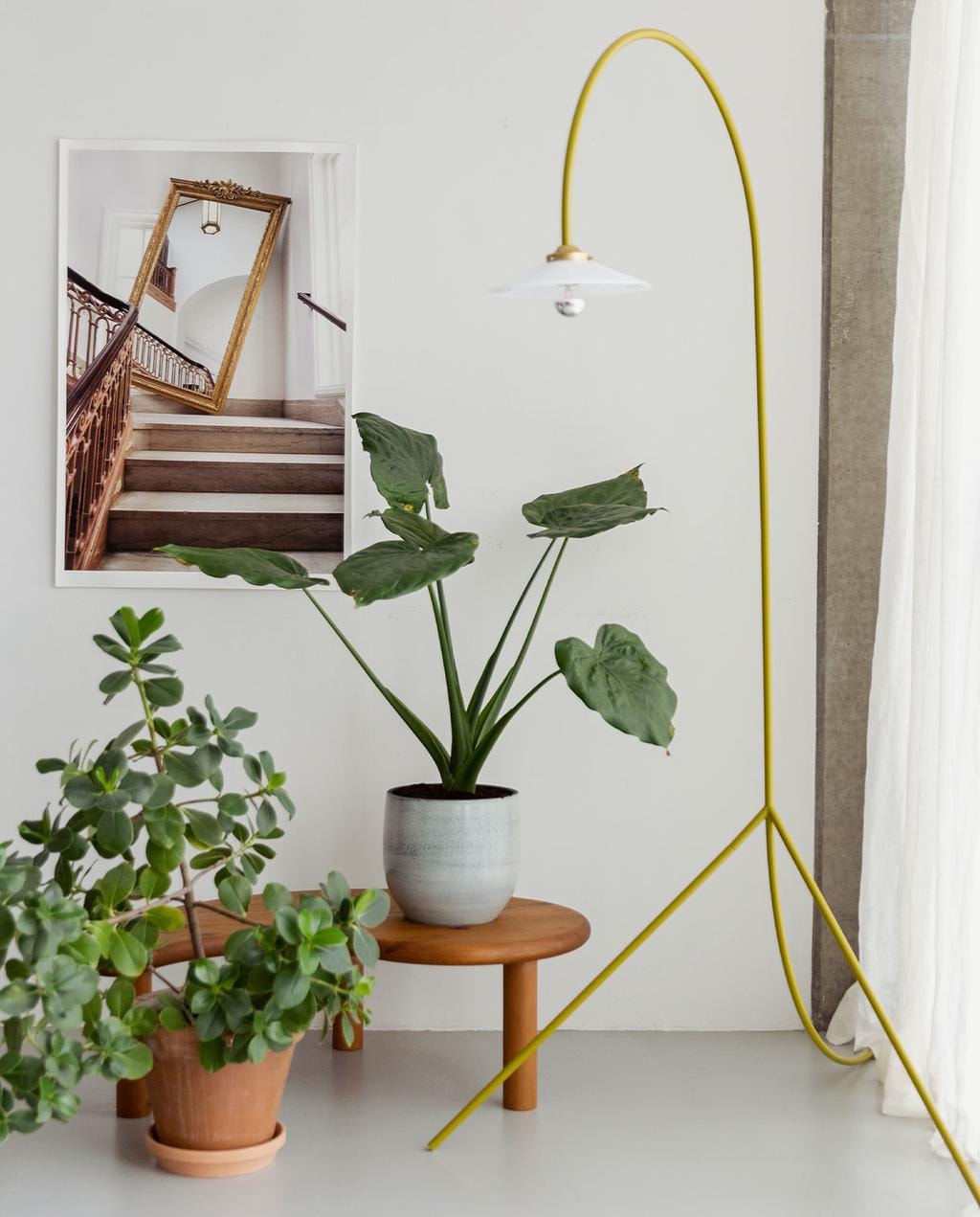 Standing Lamp Muller Van Severen voor valerie_objects, gordijnen ByMolle, freeform 60’s bijzettafel Fundamente, planten geadopteerd, planten-potten bij bloemenwinkel, fotoprint hotel The Line in Washington DC zelfgemaakt. JA | vtwonen 5-2022 | styling Ilona Jongepier | fotografie Dana van Leeuwen | tekst Judith Bakkers