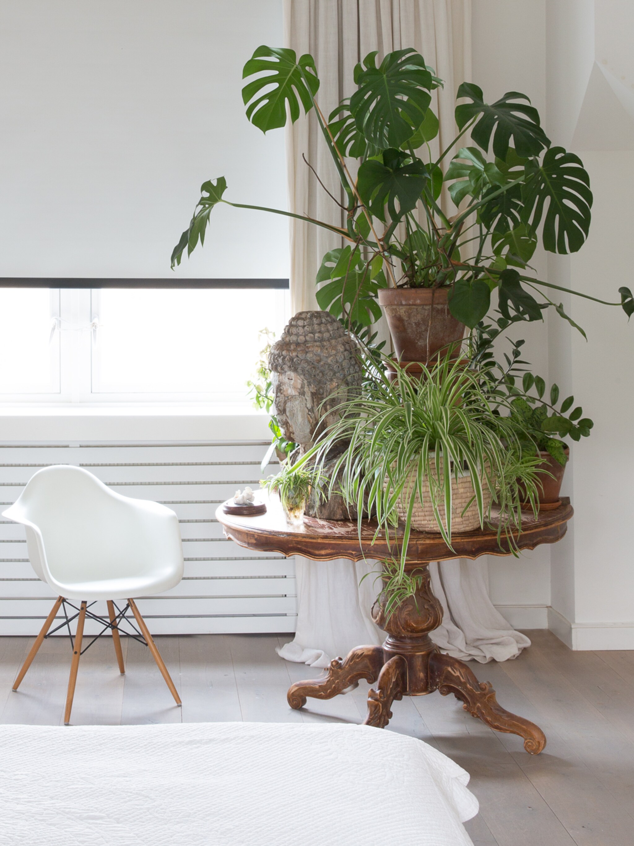 makkelijke planten voor in huis ook zonder groene vingers