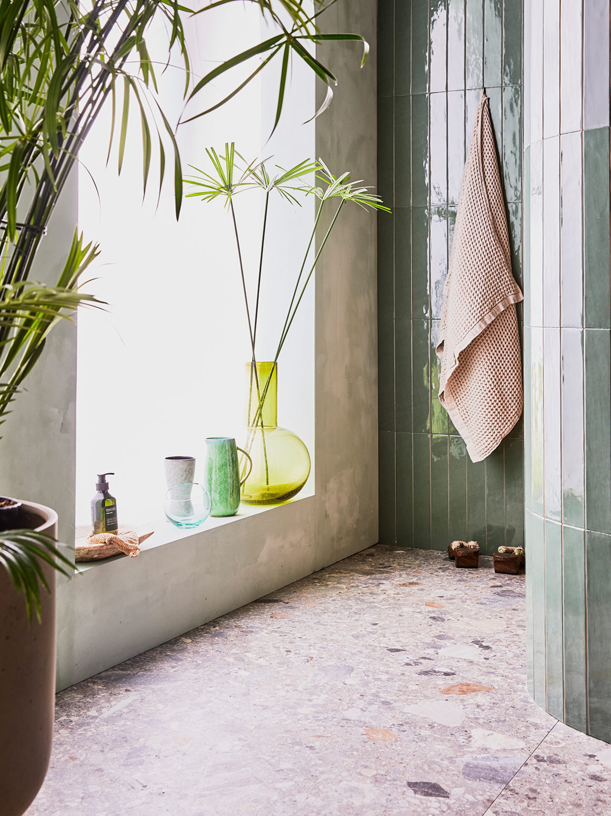 deze planten zijn perfect in een vochtige badkamer