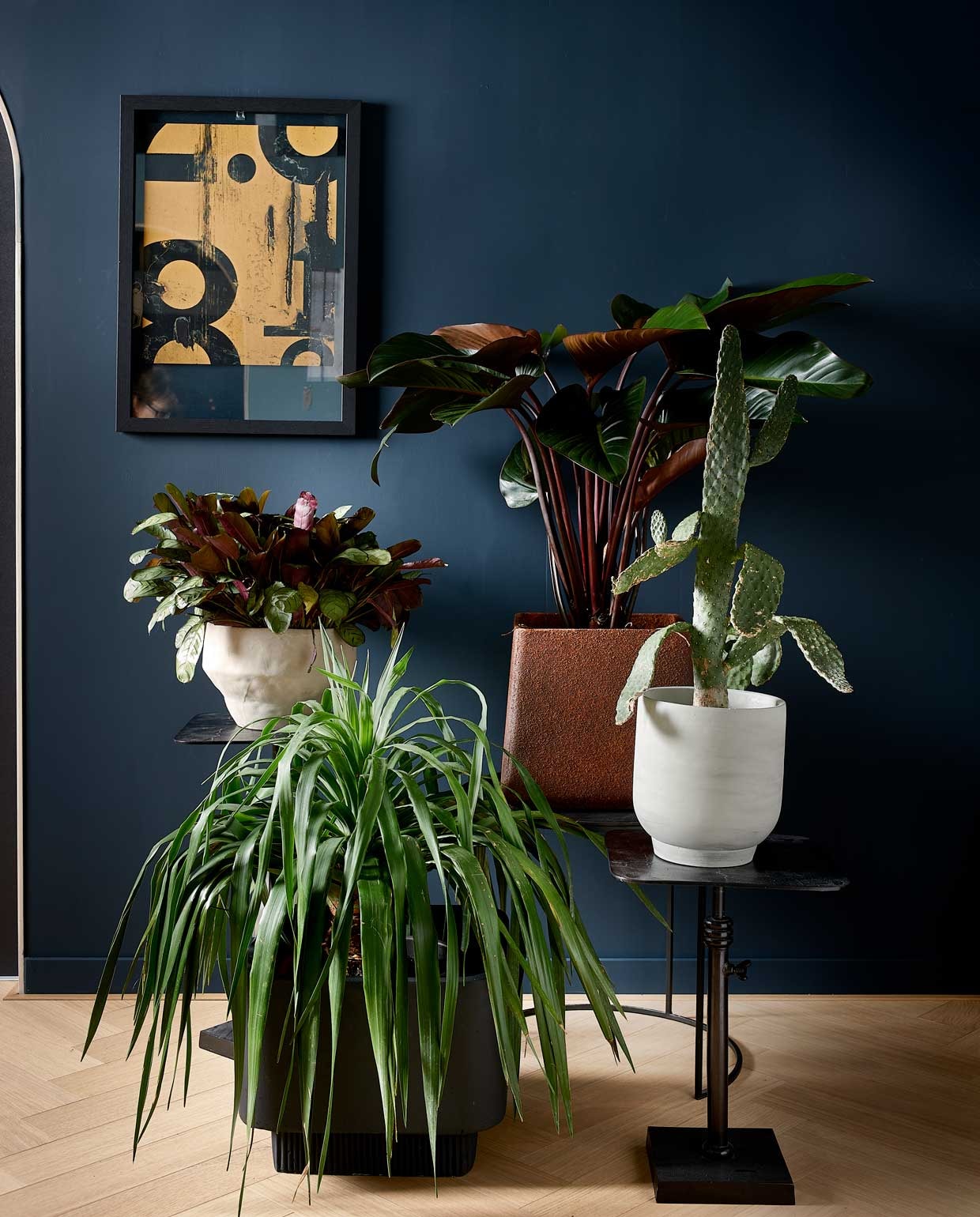 Matte krijtverf op muur Steel Blue, per liter € 39,- (pure-original.nl). Bijzettafel Atelier op één poot, in hoogte verstelbaar, 42-55x35x35 cm (hxbxd) per stuk € 89,-, tafel Fara met halfrond onderstel, per 2 € 249,-, lijst Shift € 24,95 (basiclabel.nl). Grijze pot van d&amp;m , € 13,80, roestkleurige bak Cave van d&amp;m € 77,99, grote zwarte bak Highlands van Bolia € 159,- , (vtwonen.nl). Planten linksachter beginnend met de klok mee: Ctenanthe Amagris, Philodendron Red Beauty, Opuntia en Dracaena Draco (plantenverhuur.nl). Overig privébezit.