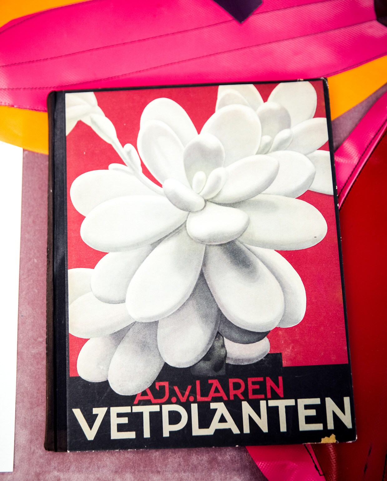 beeld vtwonen