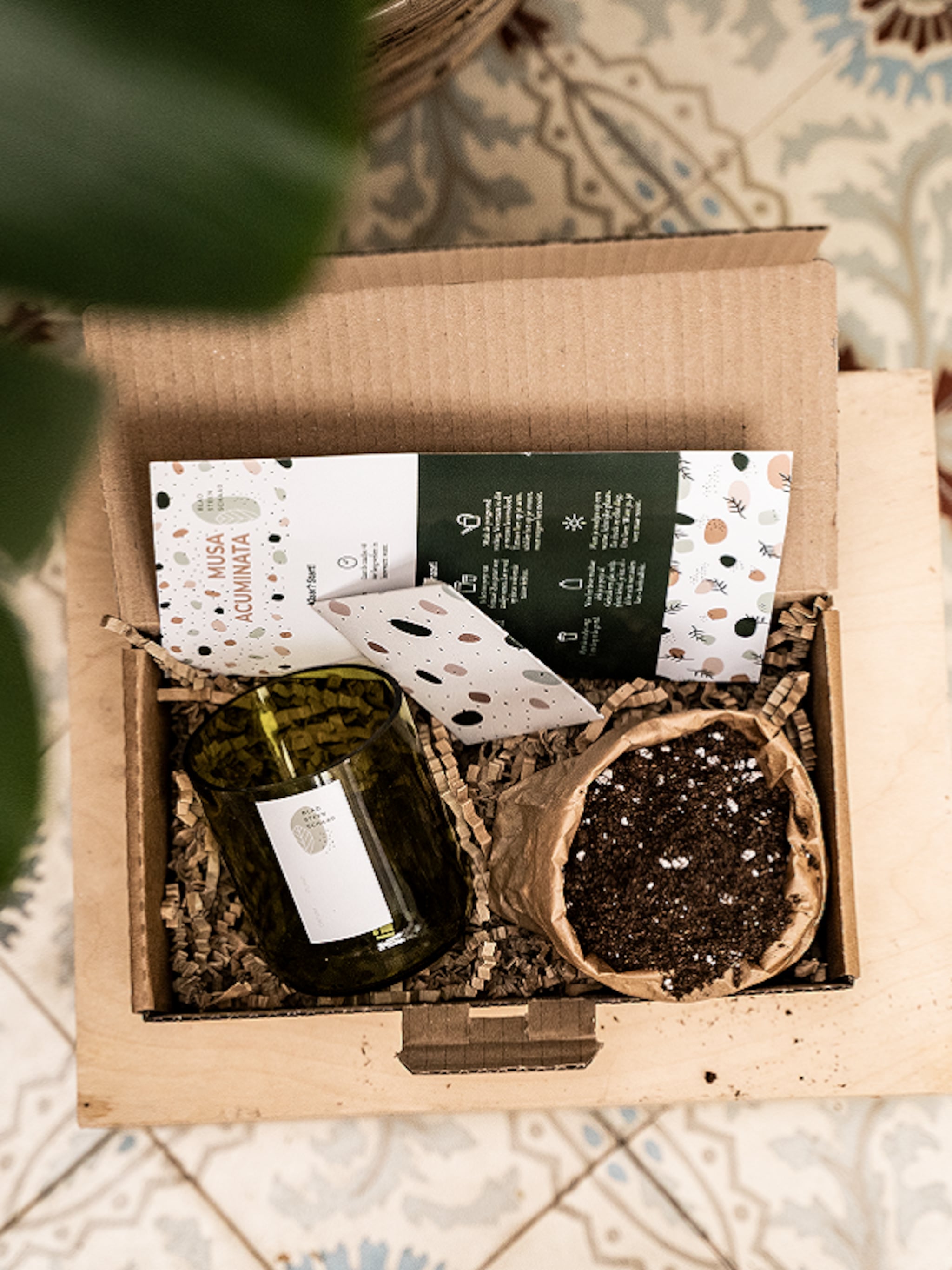 win 5x een groener groeipakket van blad steen schaar