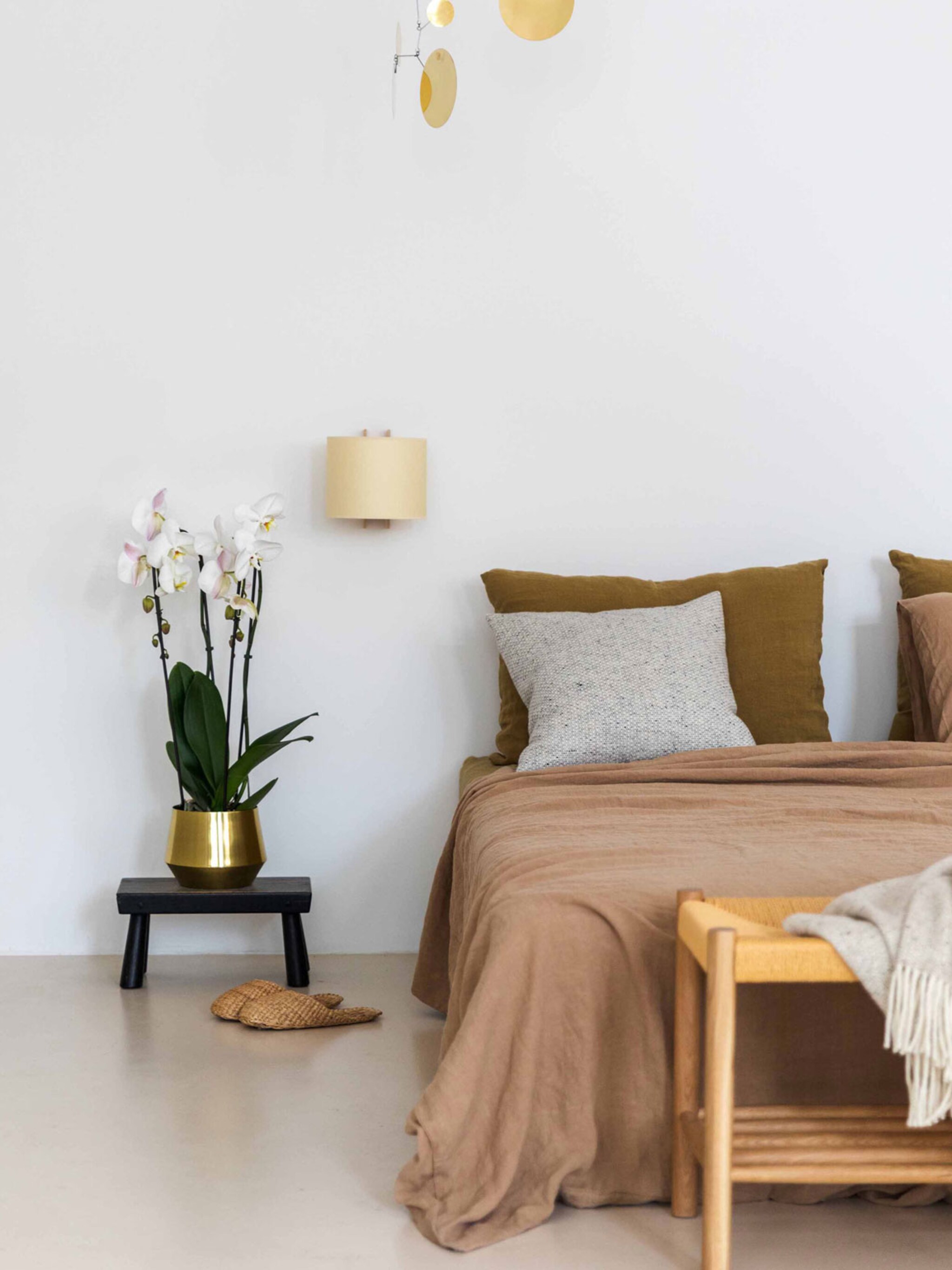 orchidee in huis 5 verrassende plekken om m neer te zetten