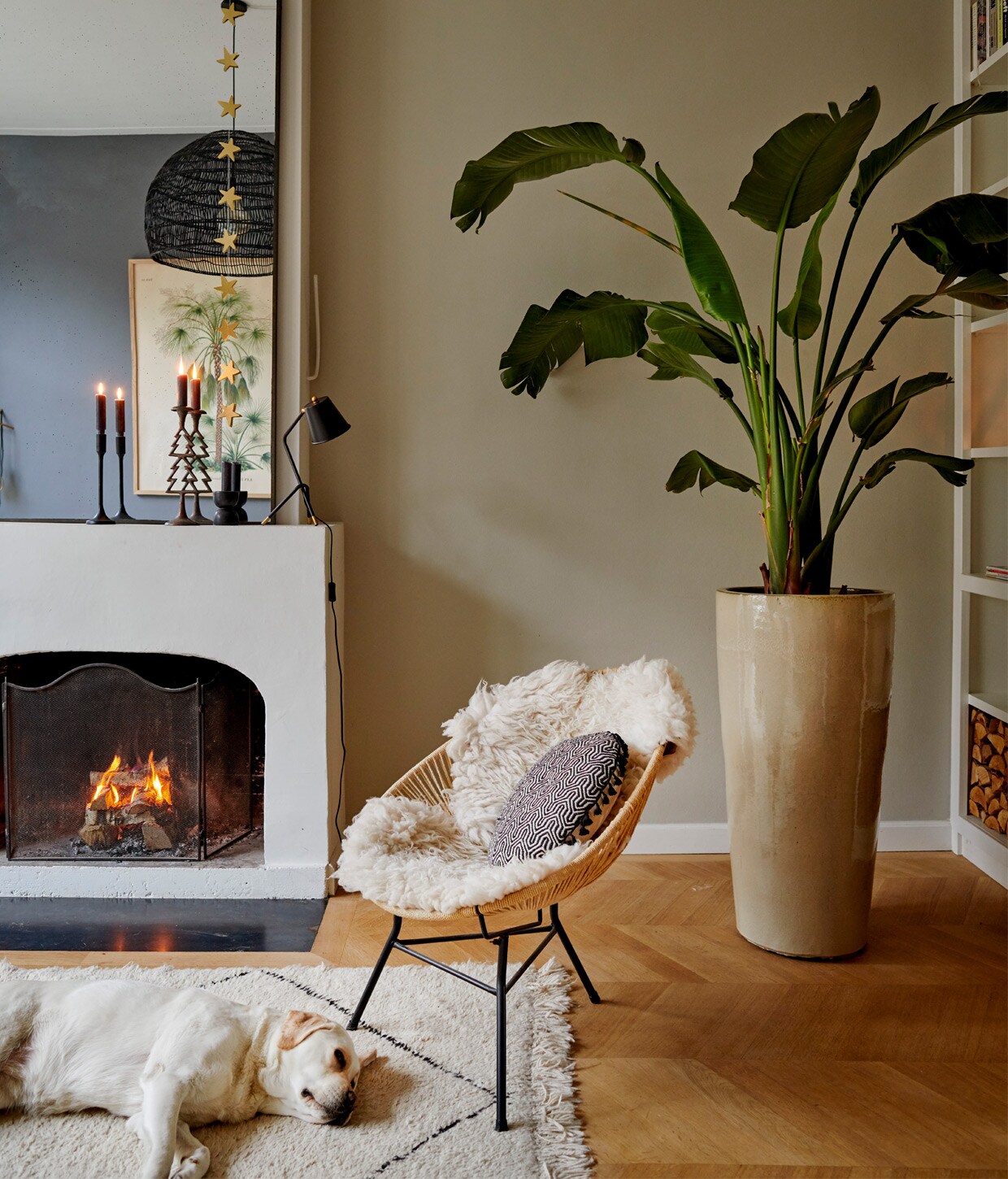 Muurverf Schelpenzand van Histor, verf op deschouw Strong White van Farrow &amp; Ball, eikenvloermet Hongaarse punt Wijers Vloeren, stoel DennisLiving Haarlem, vacht herkomst onbekend, kussenSissy-Boy, pot en plant Dennis Flowers Haarlem,vloerkleed Beni Ouarain van Rozenkelim, spiegelMetal van HKliving, tafellamp Bright Living,kandelaars gekregen.
