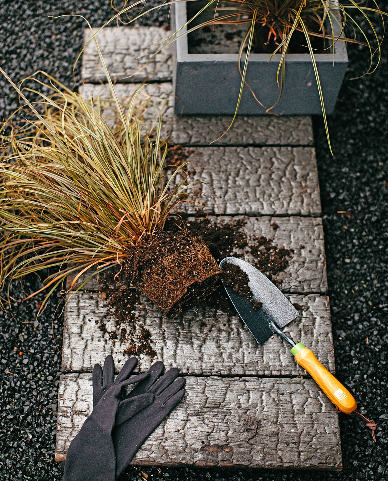 Zwart basalt split (hornbach.nl). Paneel Naoshima van gebrand Nederlands Douglas hout (zwarthout.com). Plantschepje (praxis.nl). Foxgloves Original tuinhandschoenen (wiltfang.nl). Antracietgrijze kubuspot (intratuin.nl). Siergras Uncinia Rubra.