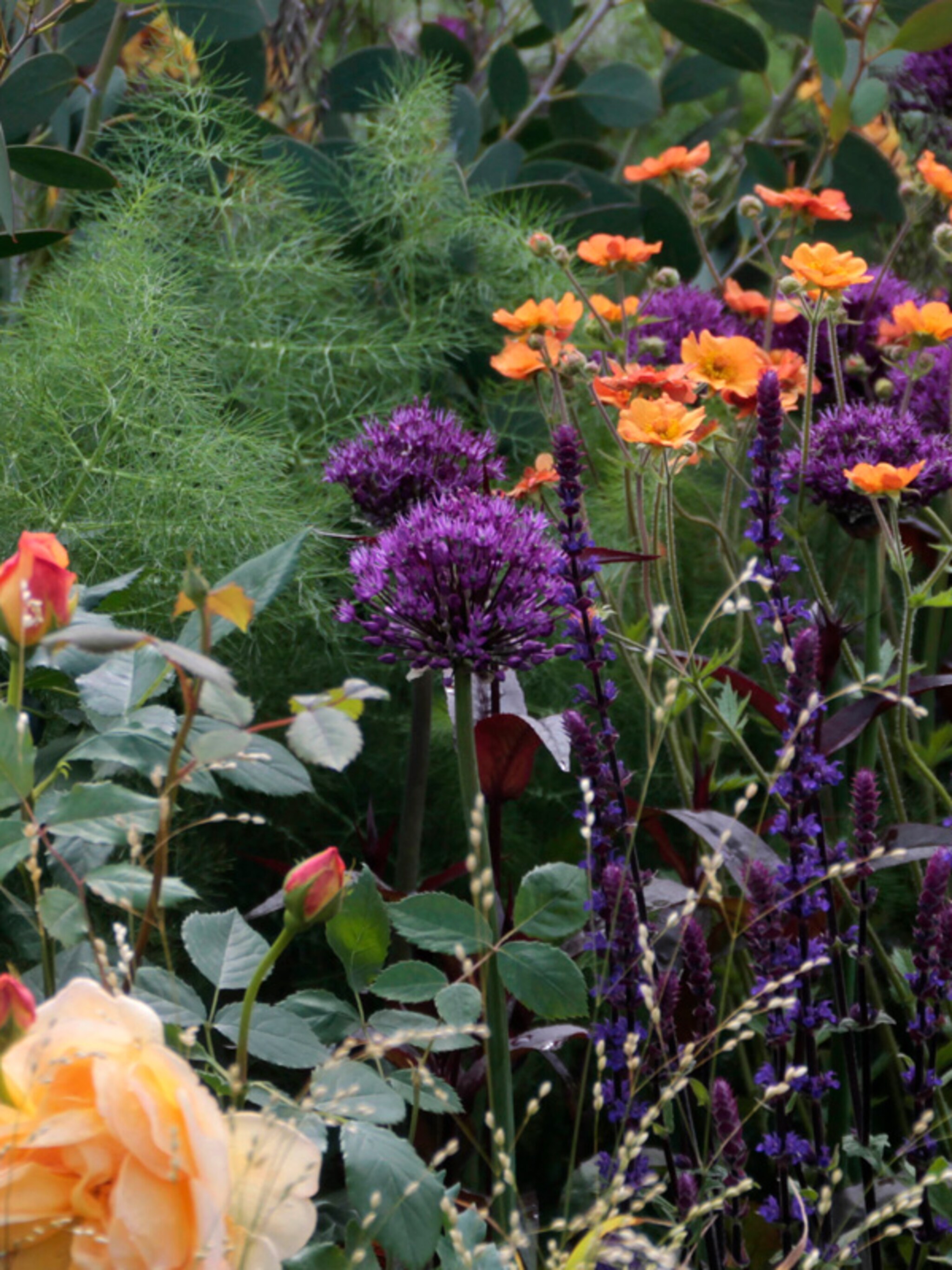 5 tips voor een tuin vol bloembollen