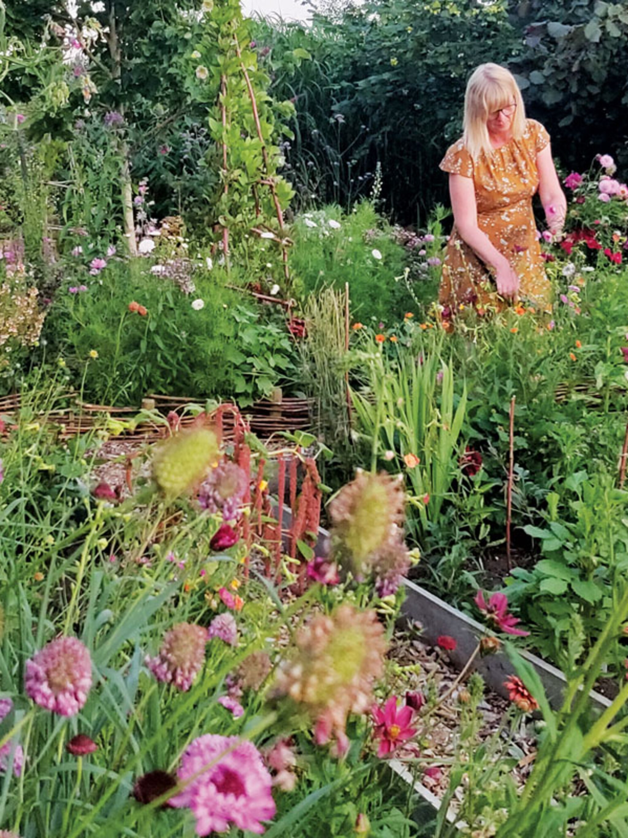 een hoekje plukgeluk bloemen kweken in elke tuin