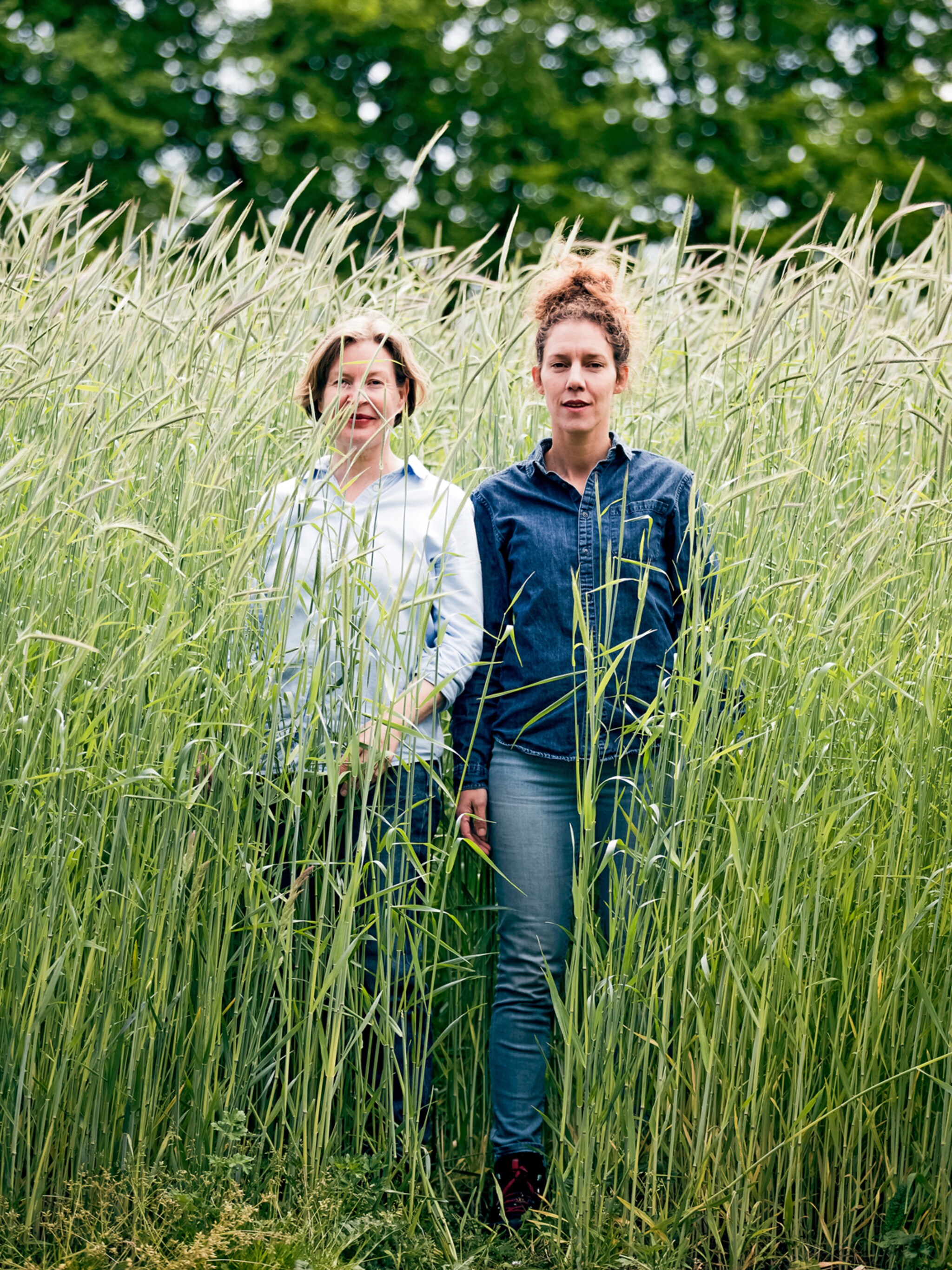ontdek het ambacht kunstinstallaties slow flowers