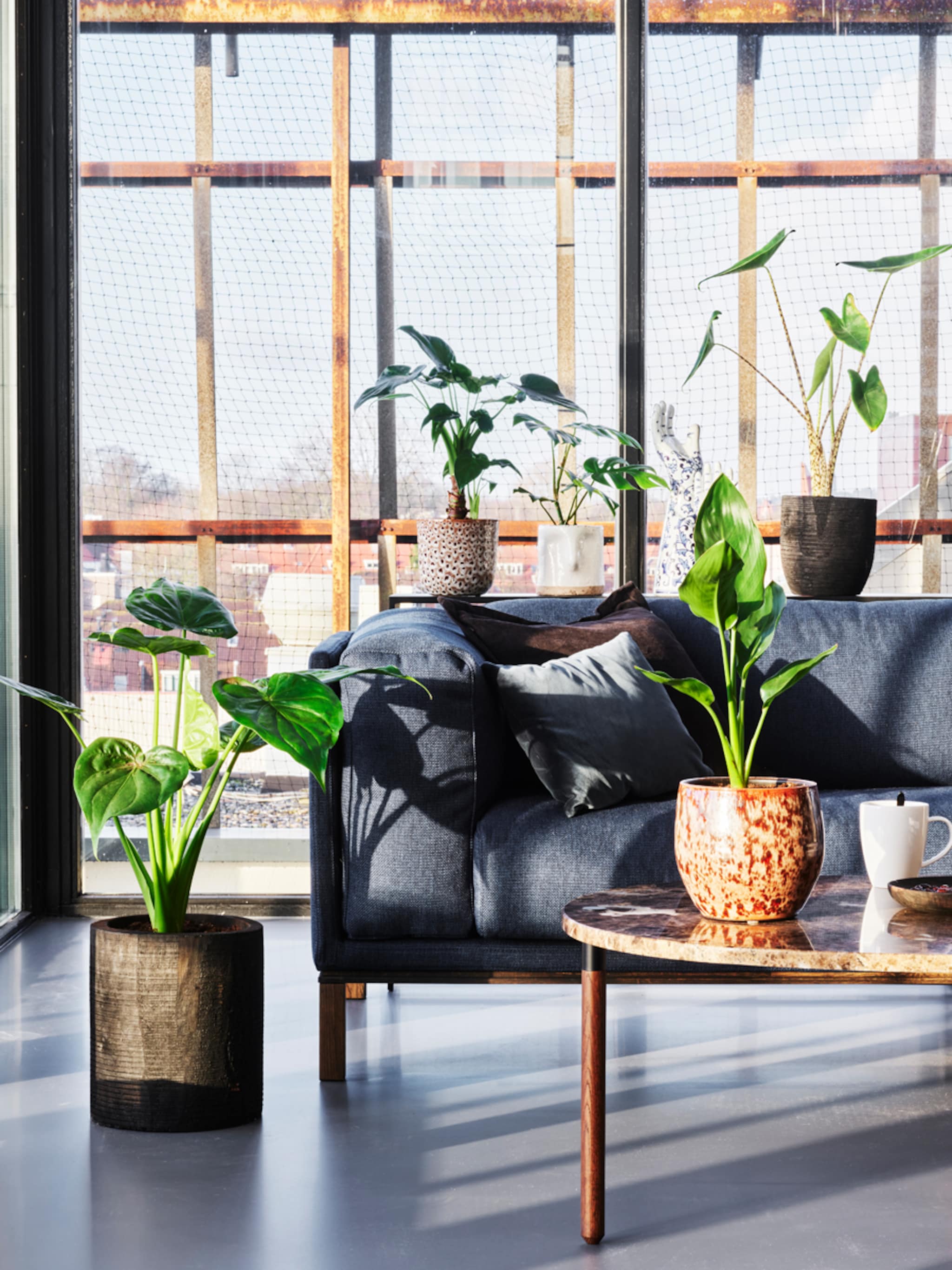 nieuw vtwonen pot en plant collectie