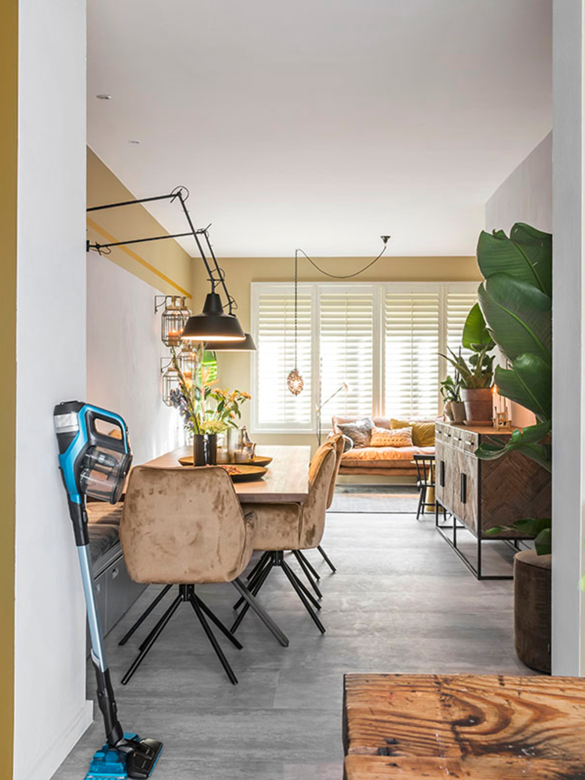 sos stofallergie met deze tips hou je het huis stofvrij