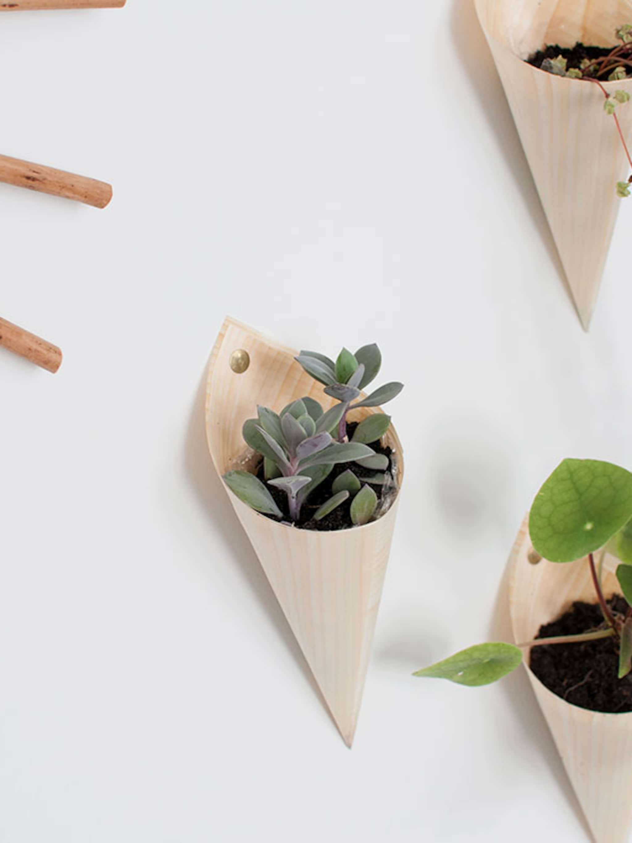 diy plantenhangers voor stekjes aan de muur