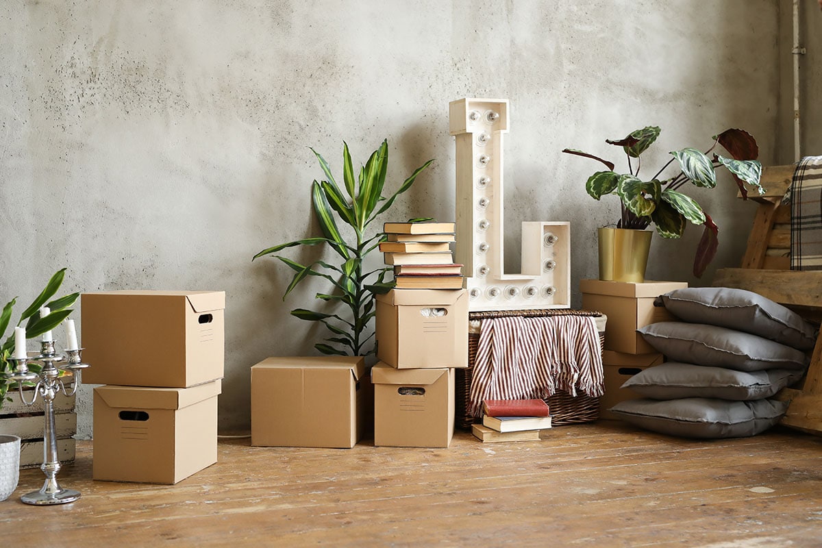 beeld vtwonen Shutterstock / Y Photo Studio