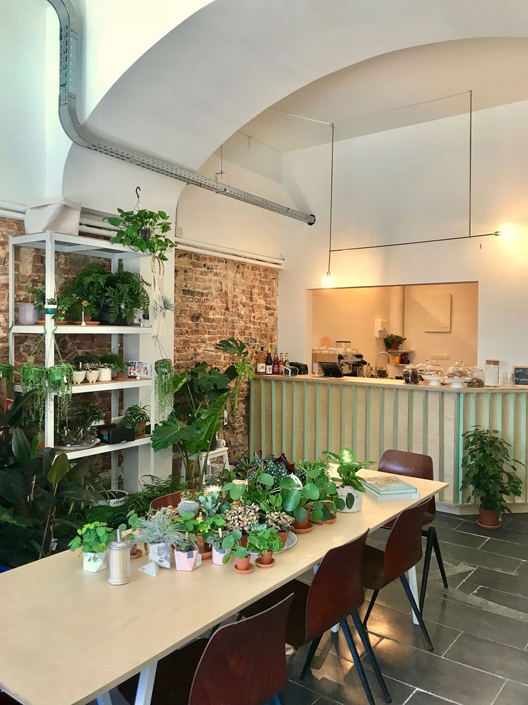 plantenwinkel en koffiebar gruun in brussel