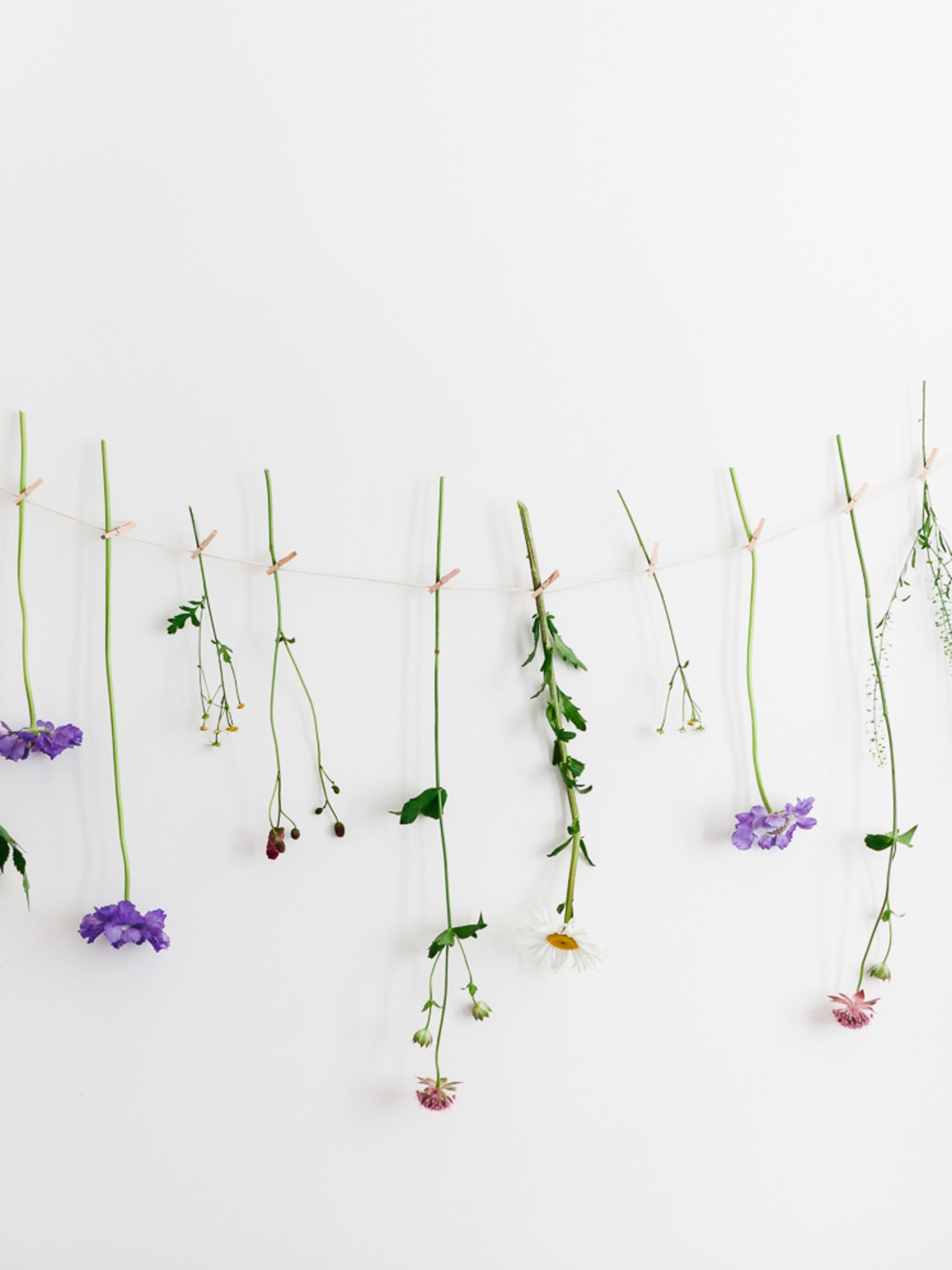 zelf je bloemen drogen zo doe je dat