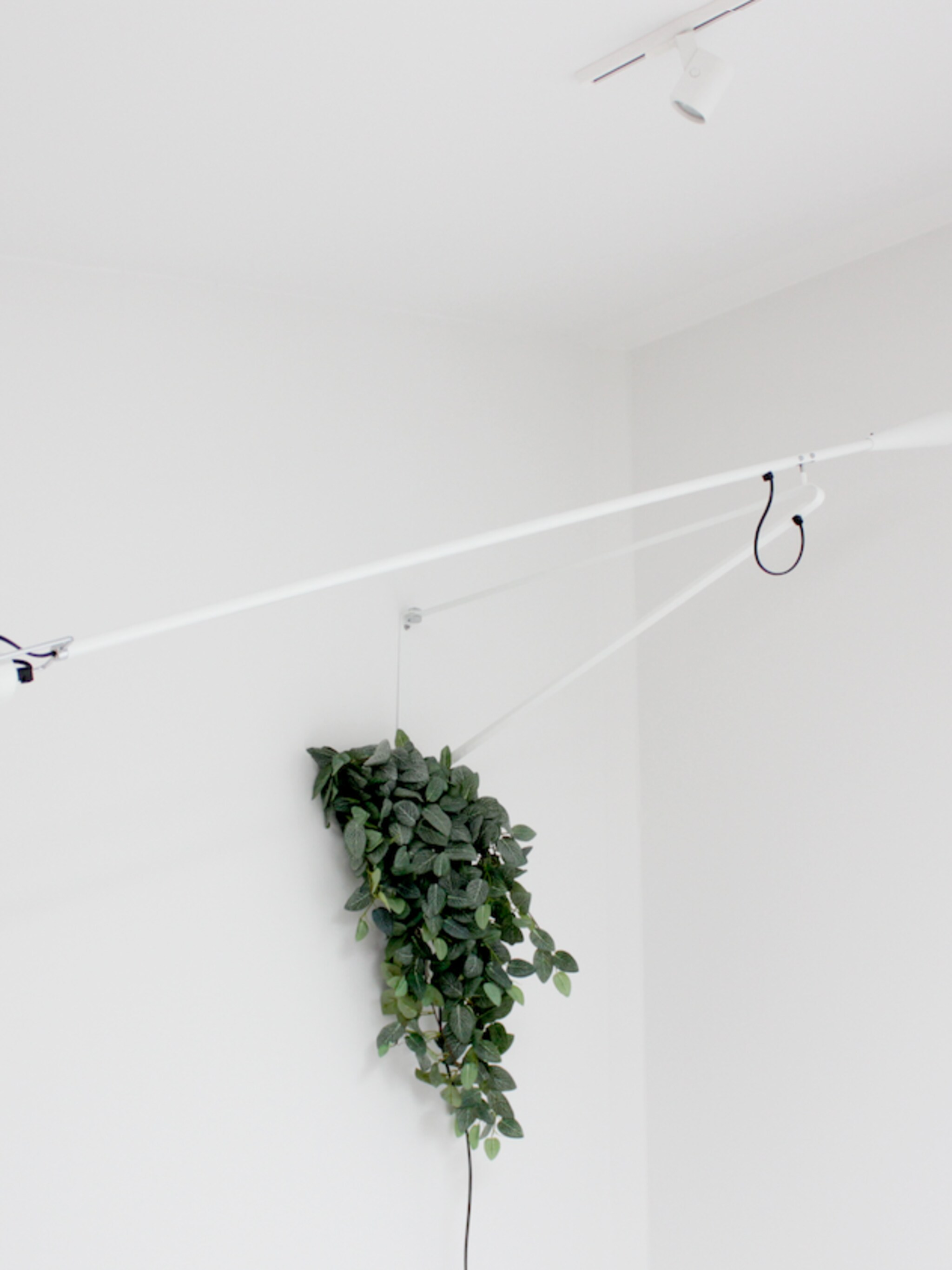 projecthometobe29 sparen voor een flos 265 wandlamp