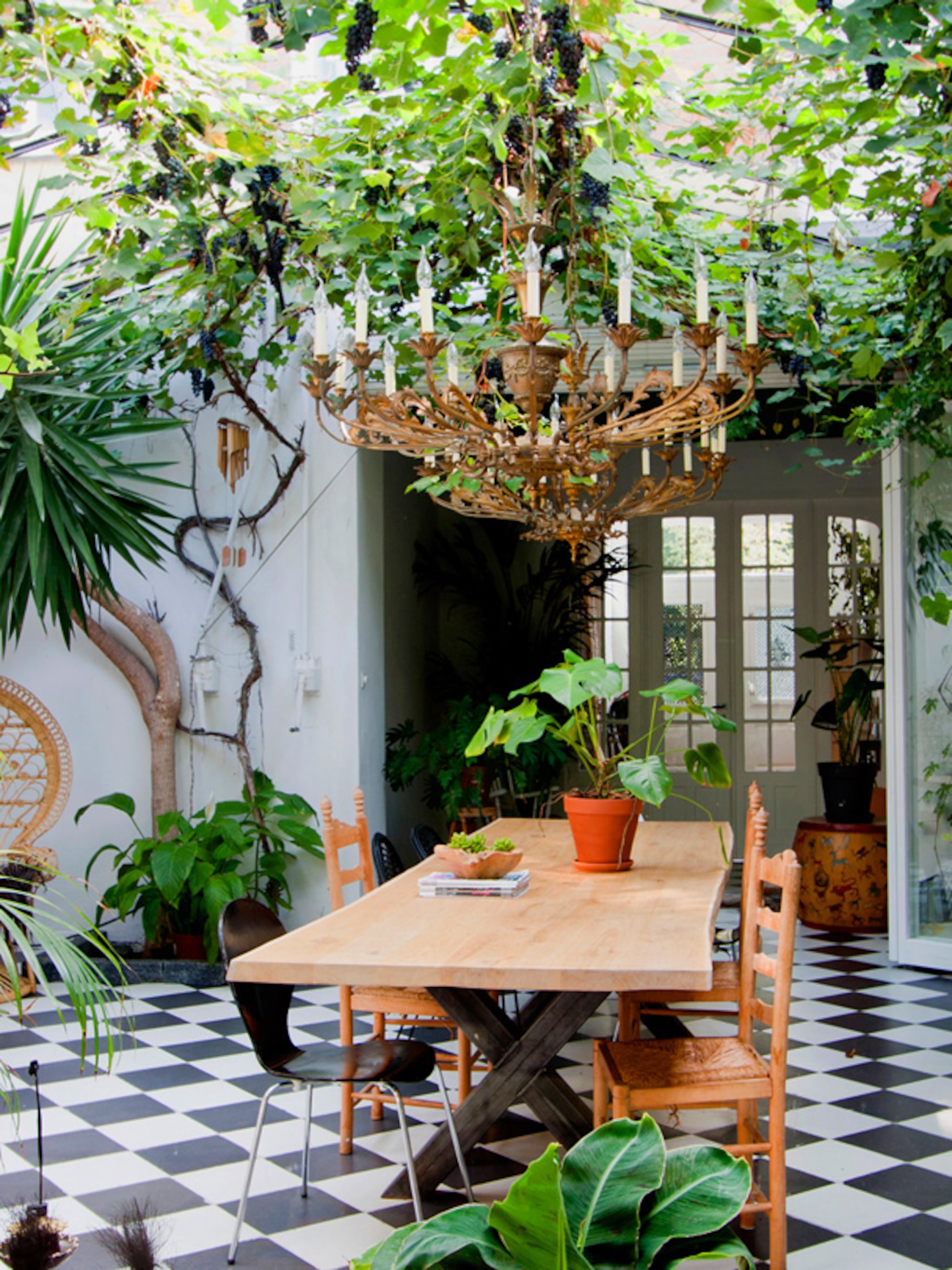 binnenkijken in een tropisch huis in den haag