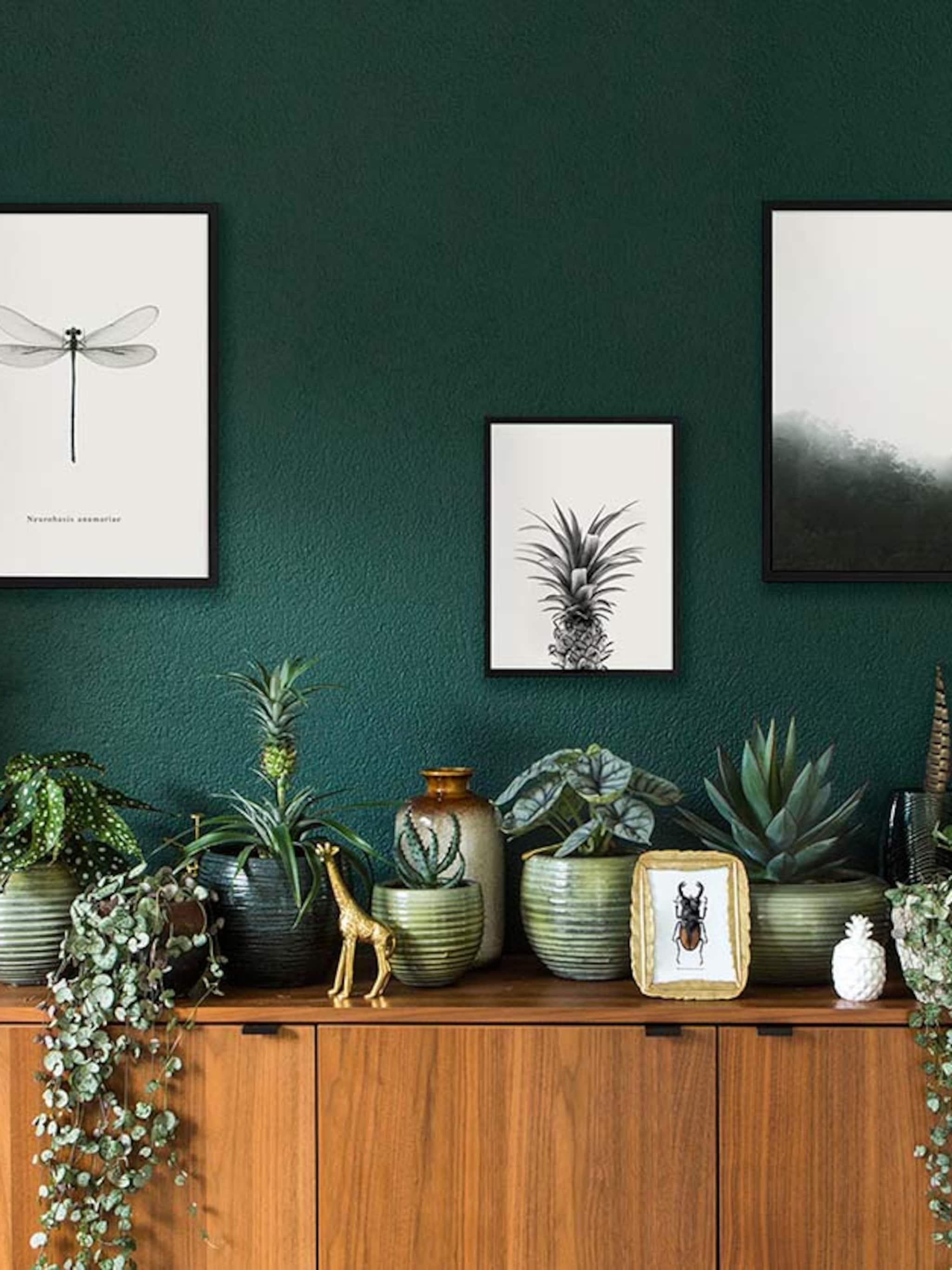 plantenstyling van de bovenste plank