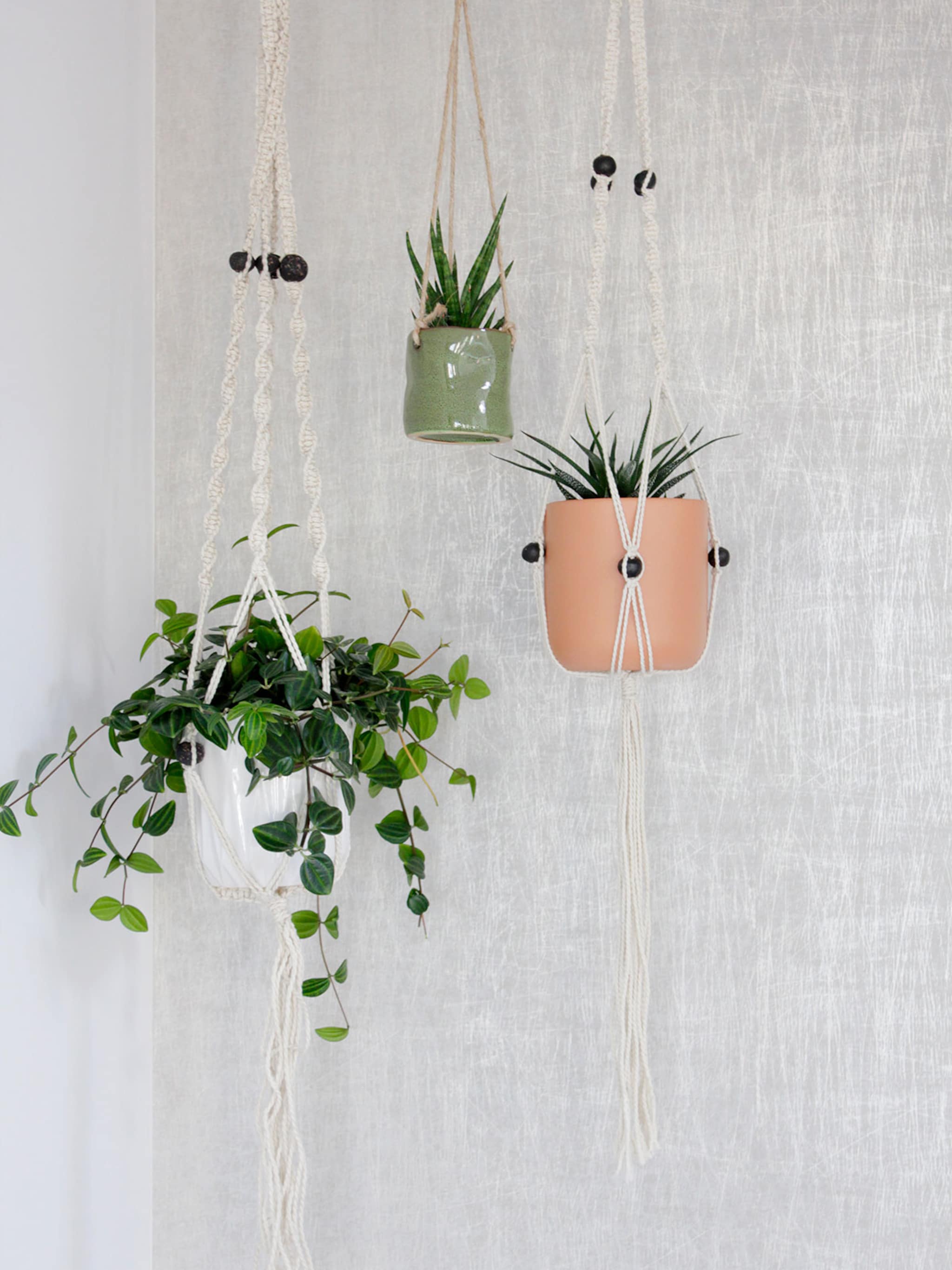 projecthometobe25 een statement wall met plantenhangers