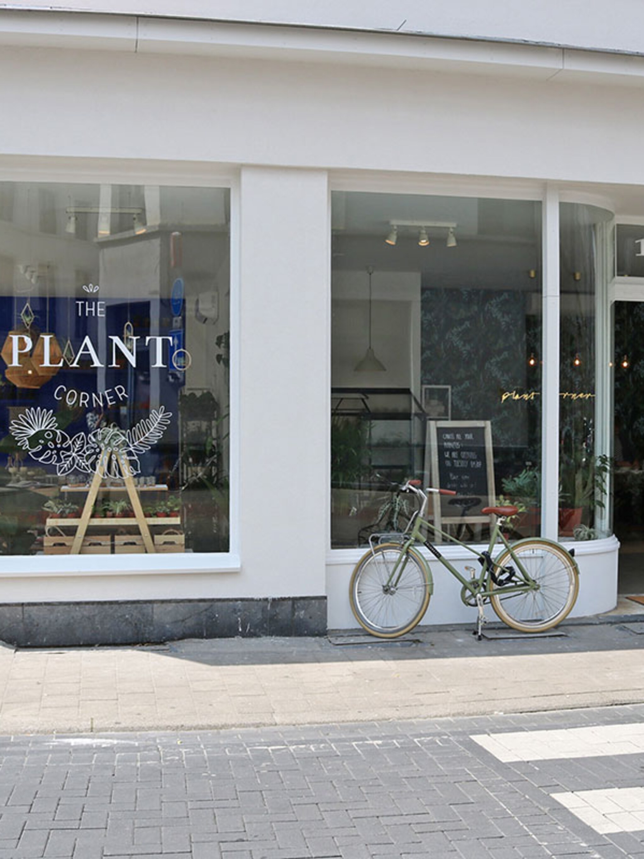 the plant corner het walhalla voor plantenliefhebbers in berchem