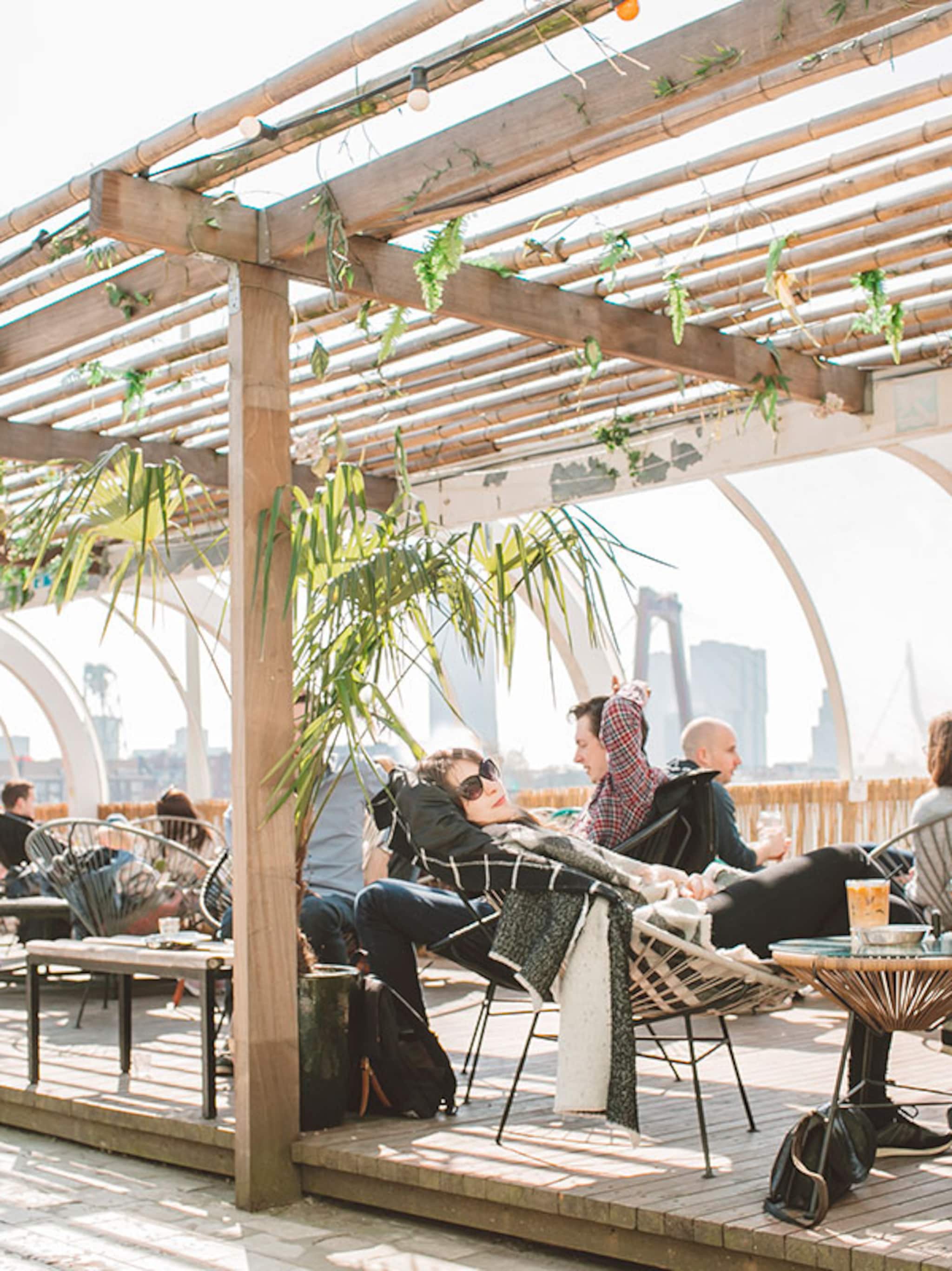hotspot aloha een stukje hawai in rotterdam