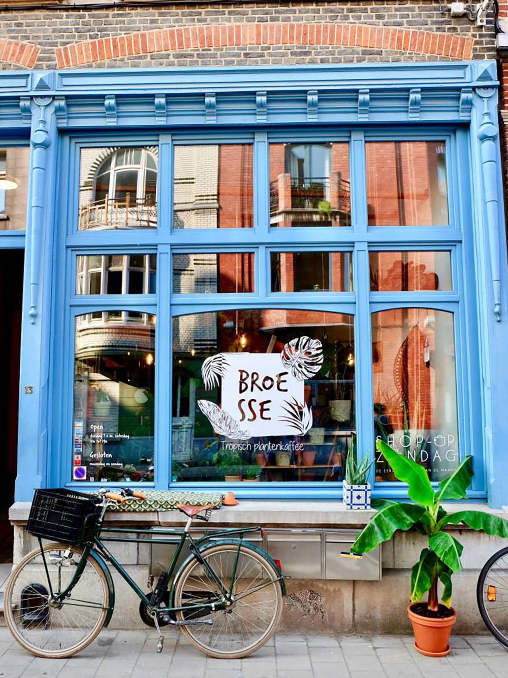junglefever bij plantenkaffee broesse in gent