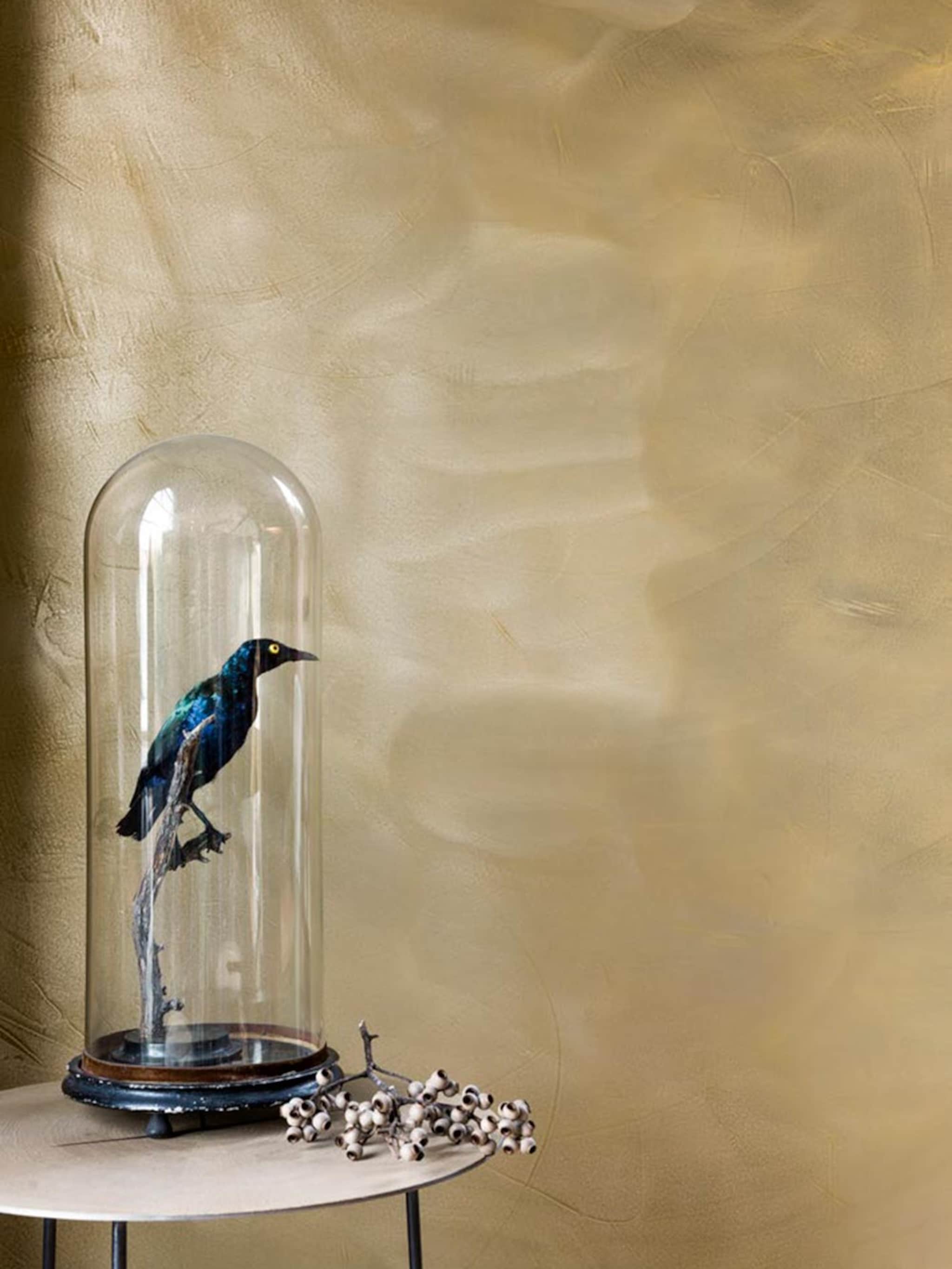 de favorieten van hoofdredacteur carlein kieboom