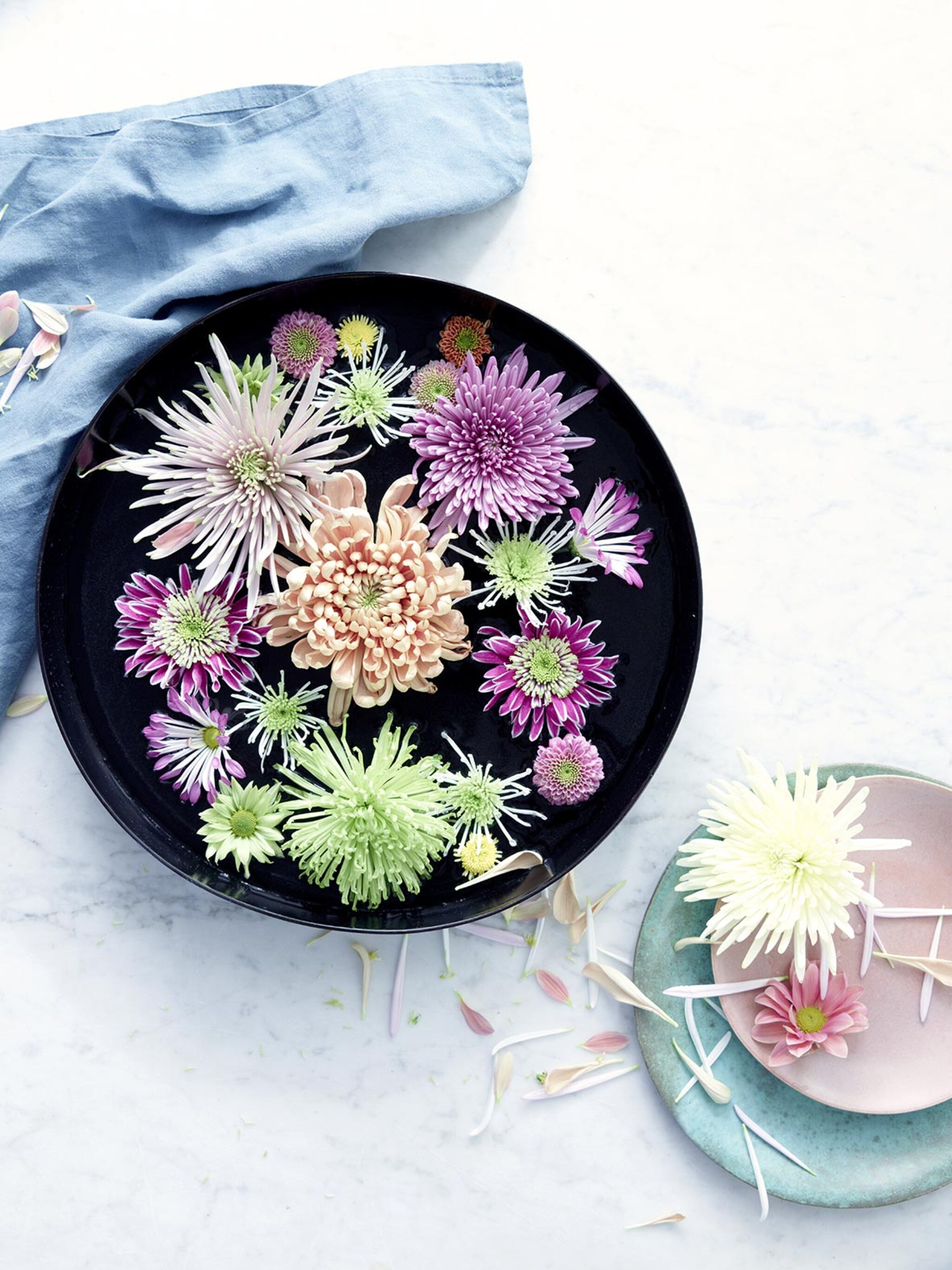 dit zijn de mooiste drijfbloemen