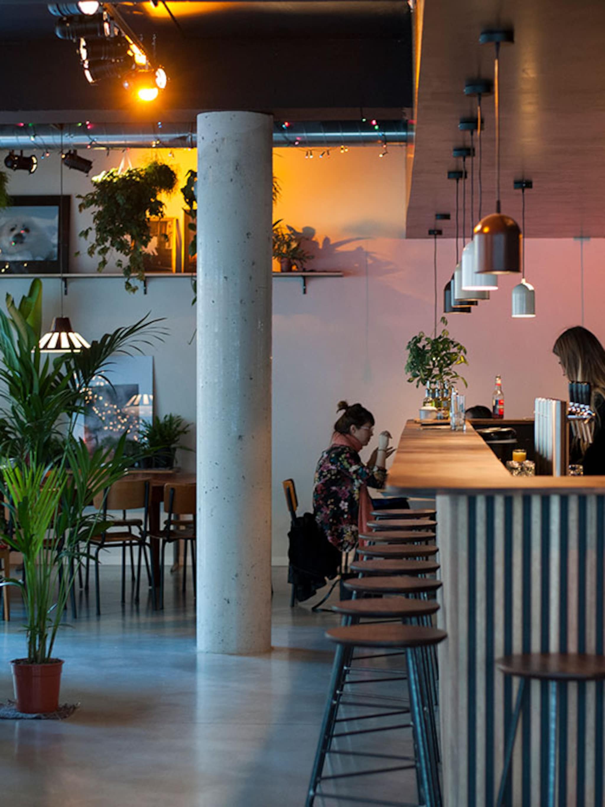 hotspot lekker vegan lunchen bij het strand in leuven