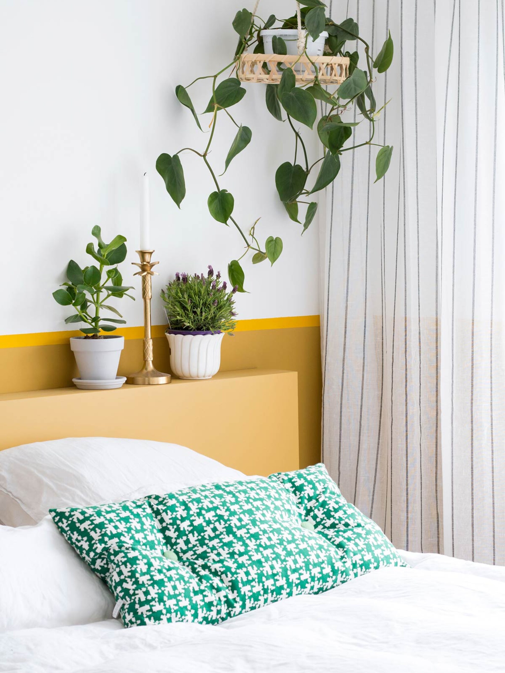 mooi en gezond planten in de slaapkamer