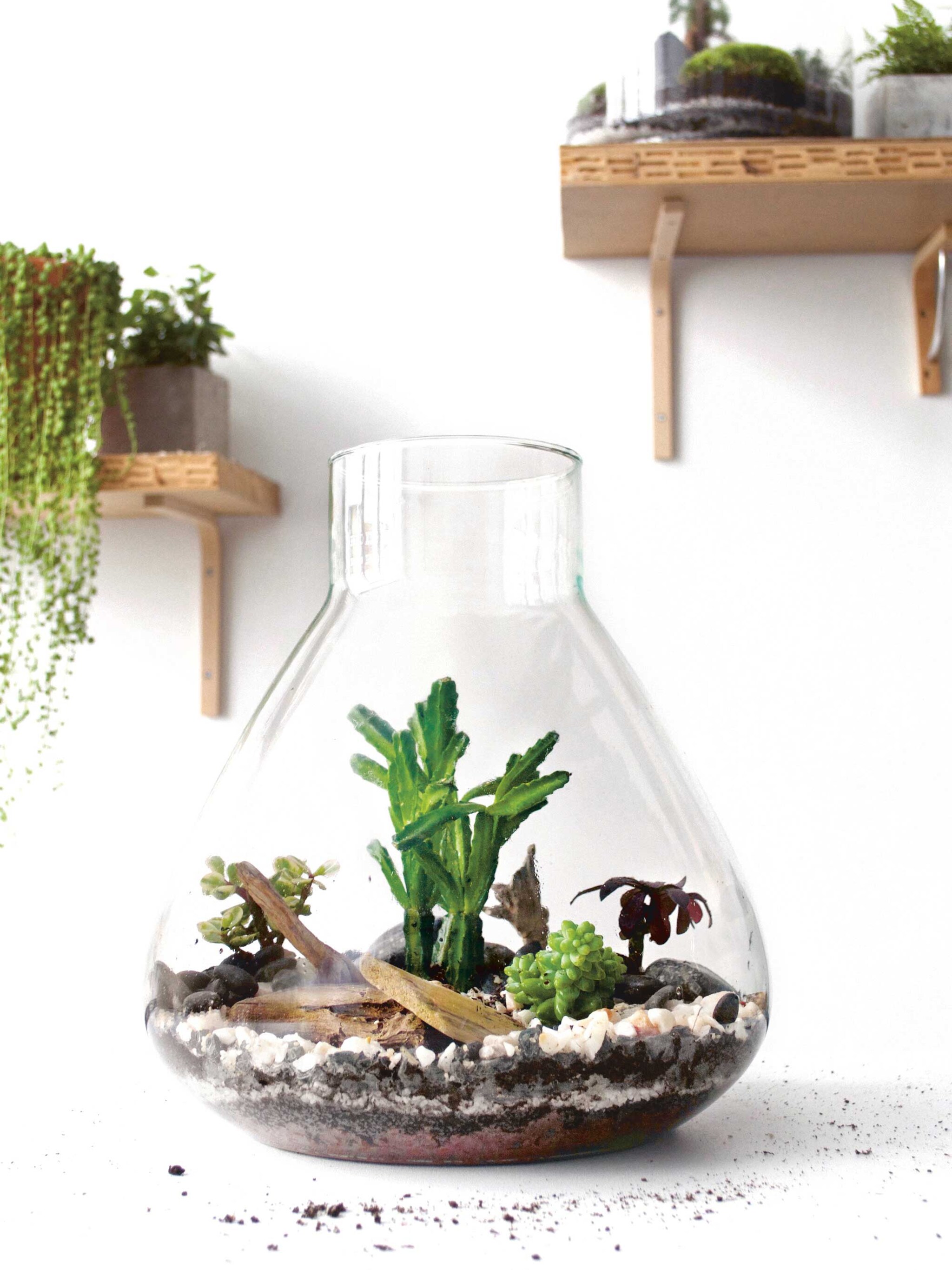 dit boek over terrariums wil je lezen