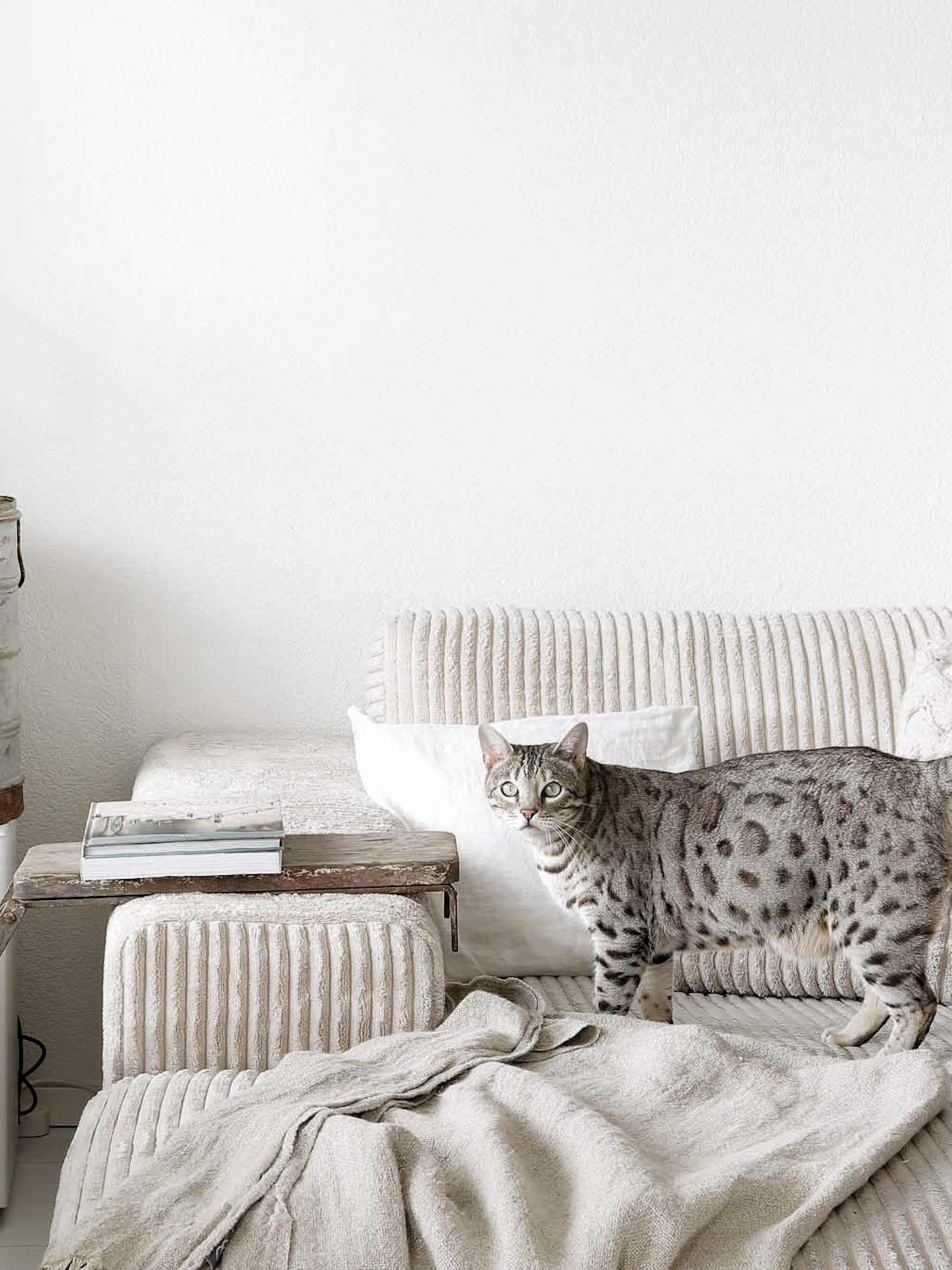 jaren 90 appartement met stoere details