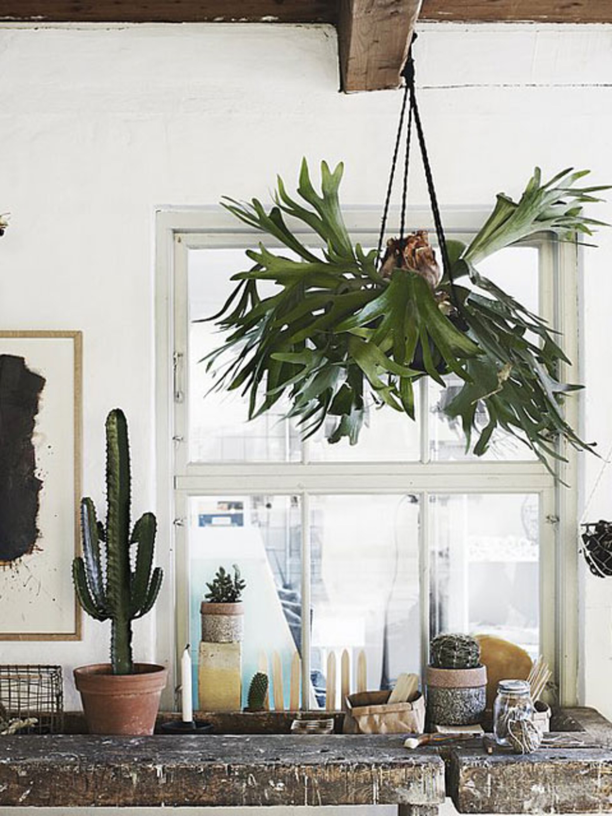 must have in je interieur de plantenhanger