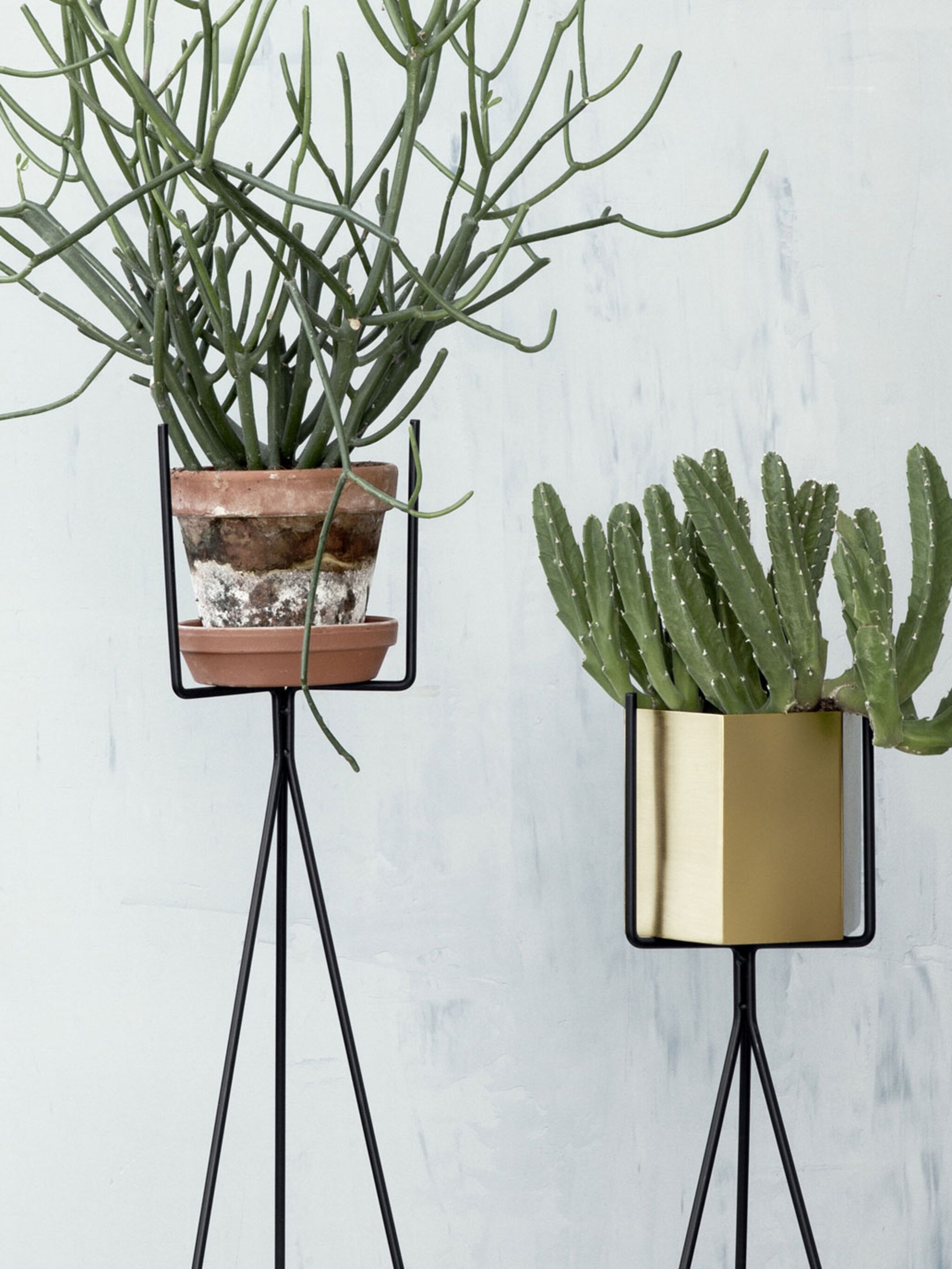 5x decoreren met planten