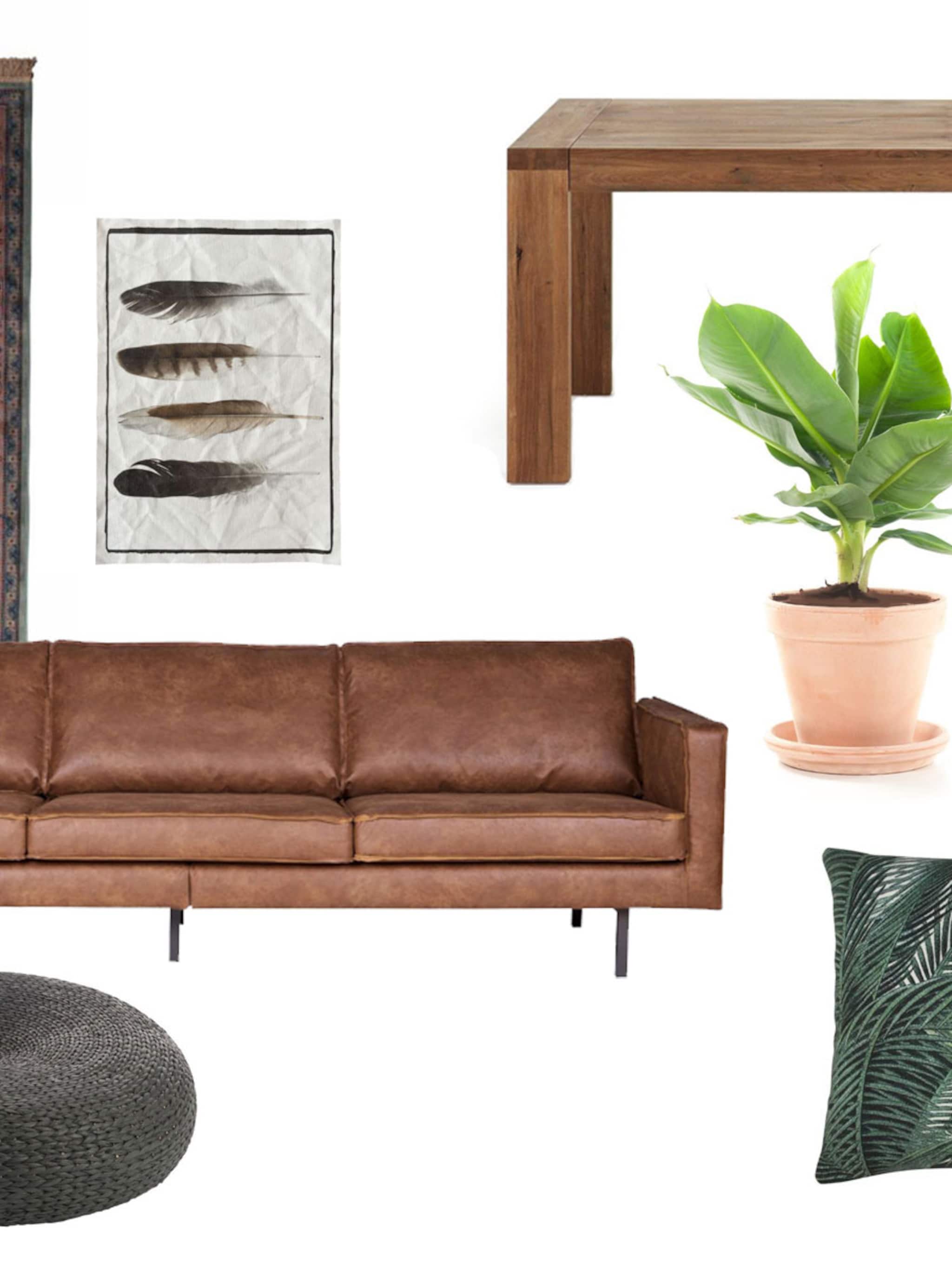 design van droog amsterdam